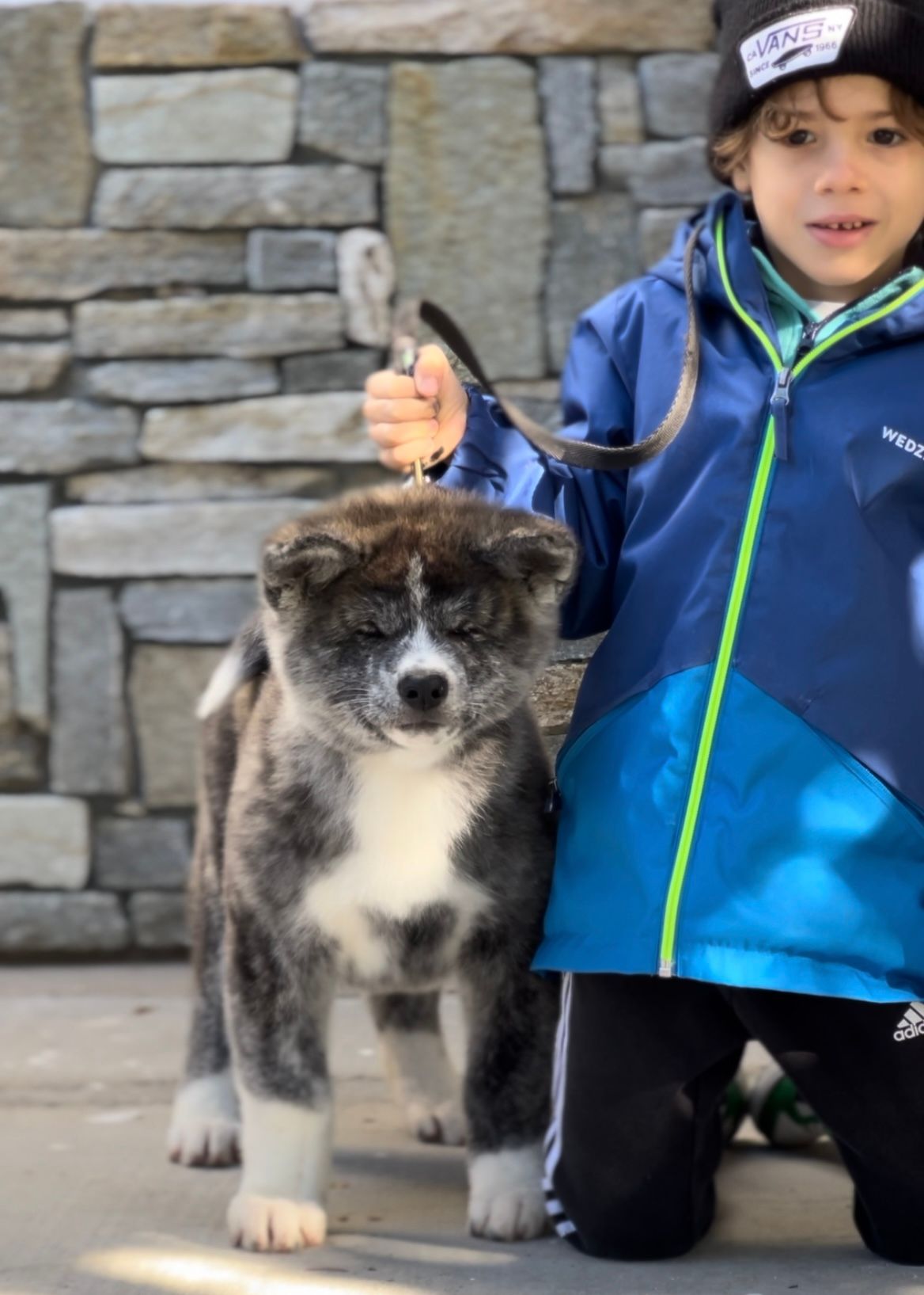 Piccoli allevatori crescono 2