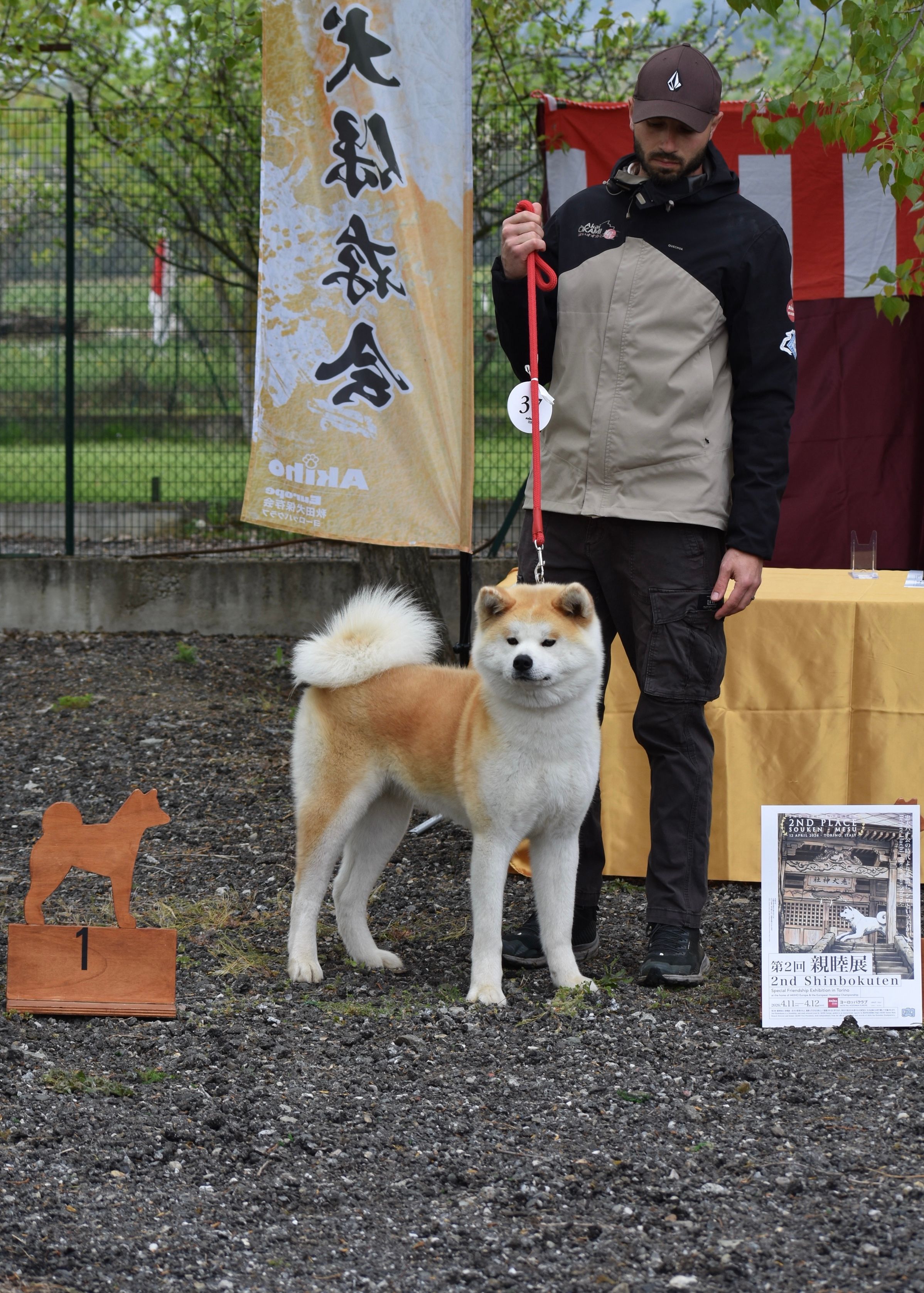 Hanahime — foto 4