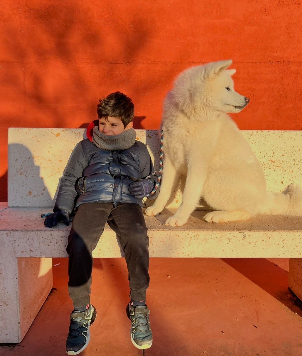 Piccoli allevatori crescono 13