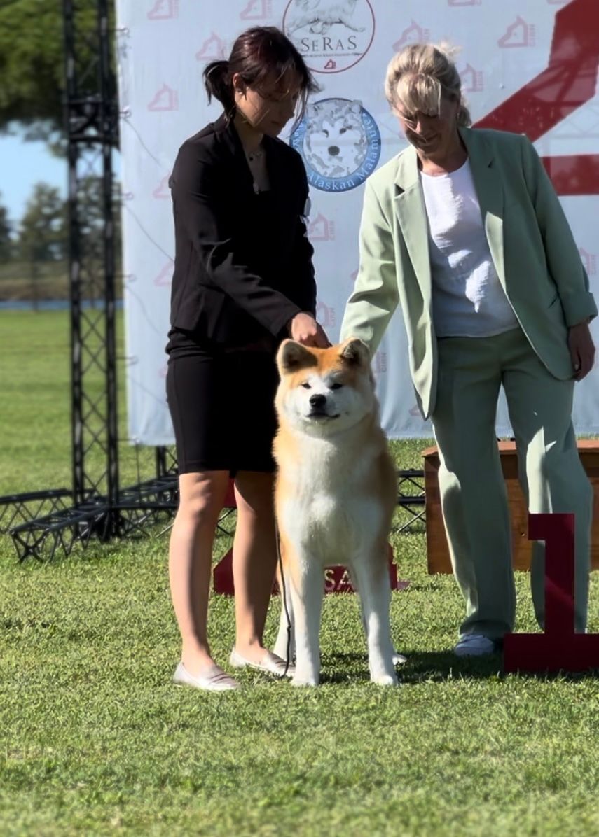 Meika — foto 2