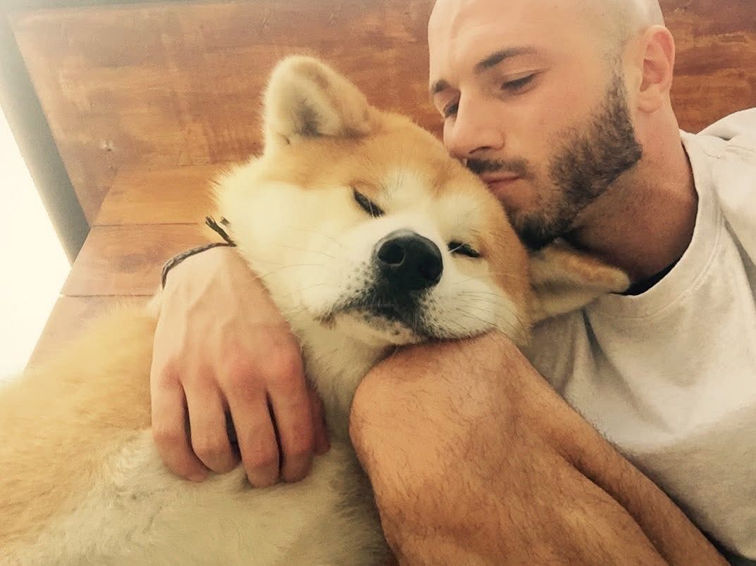 Akita in love 38