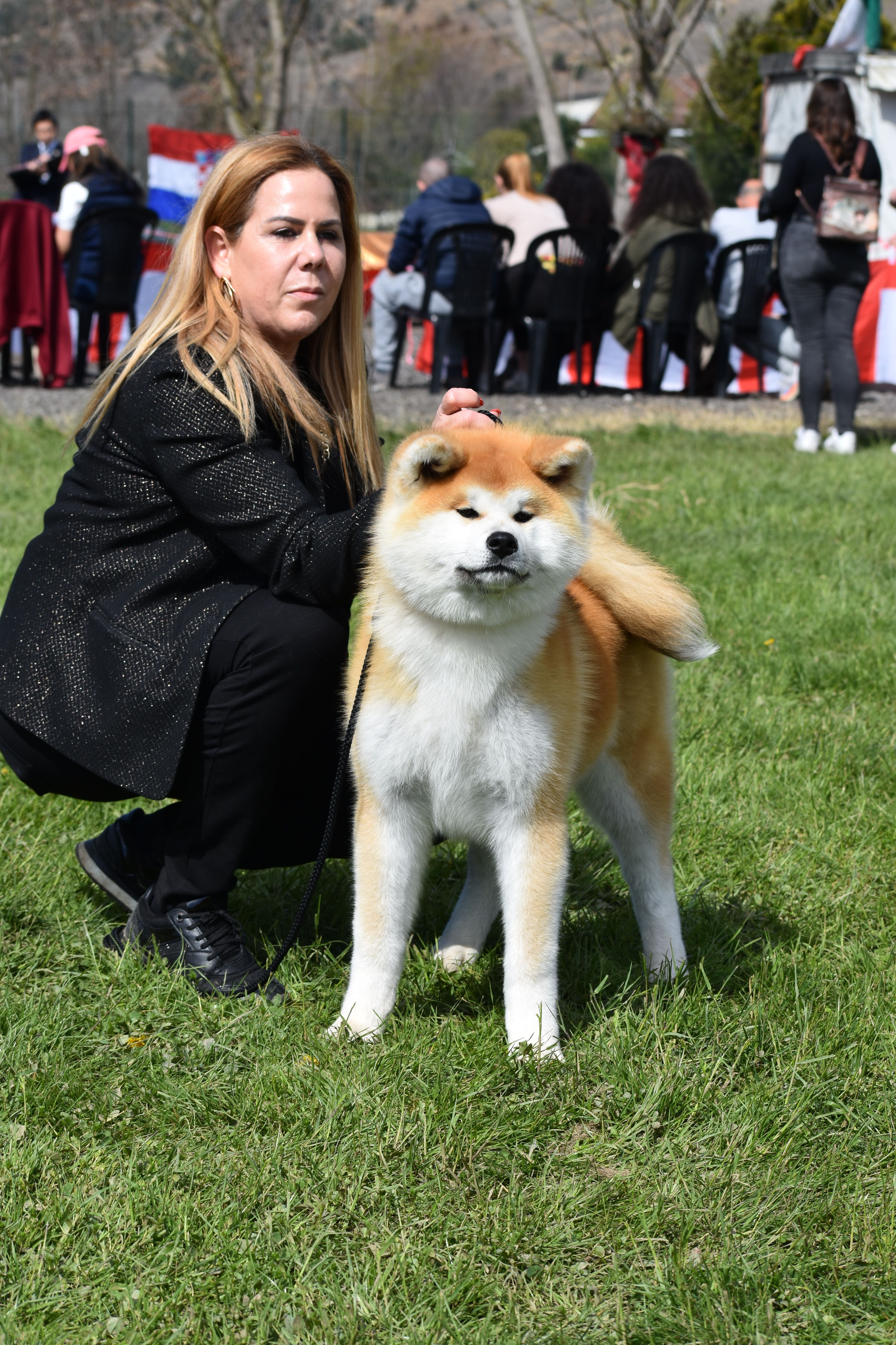 Toushou — foto 1