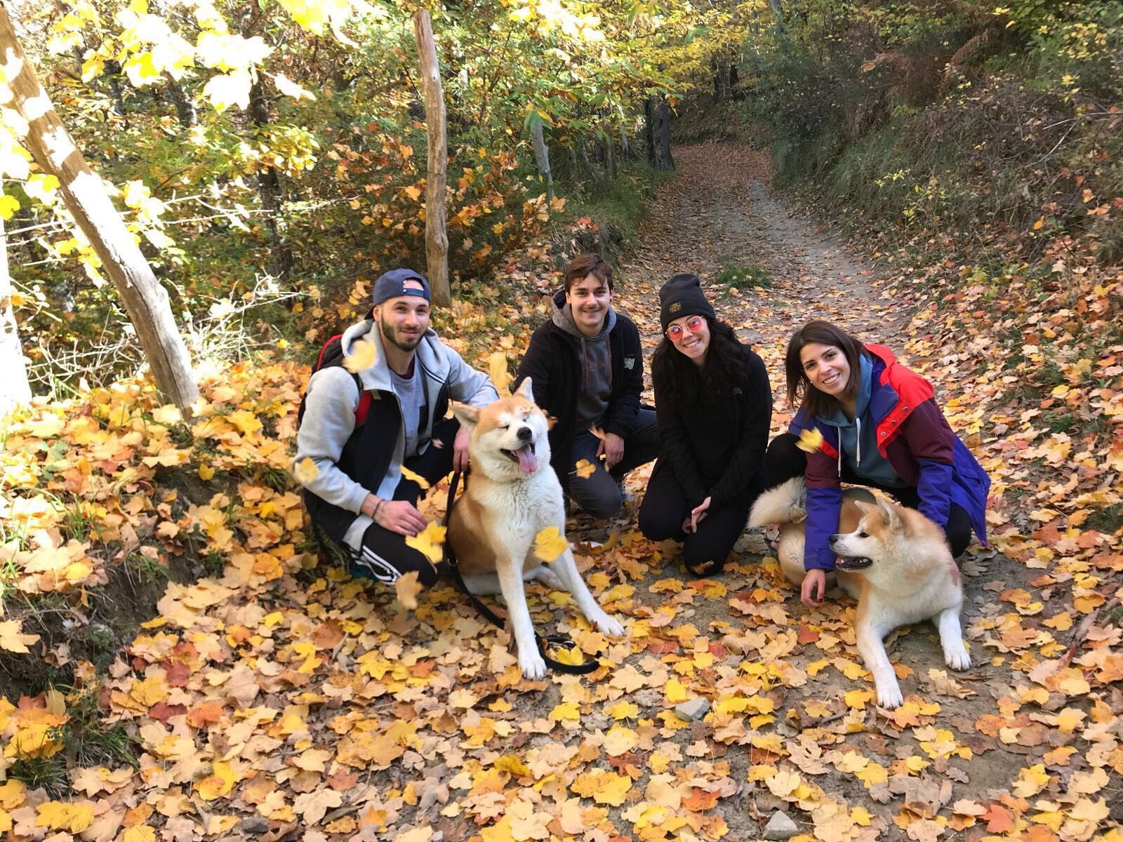 Akita nelle famiglie — foto 11
