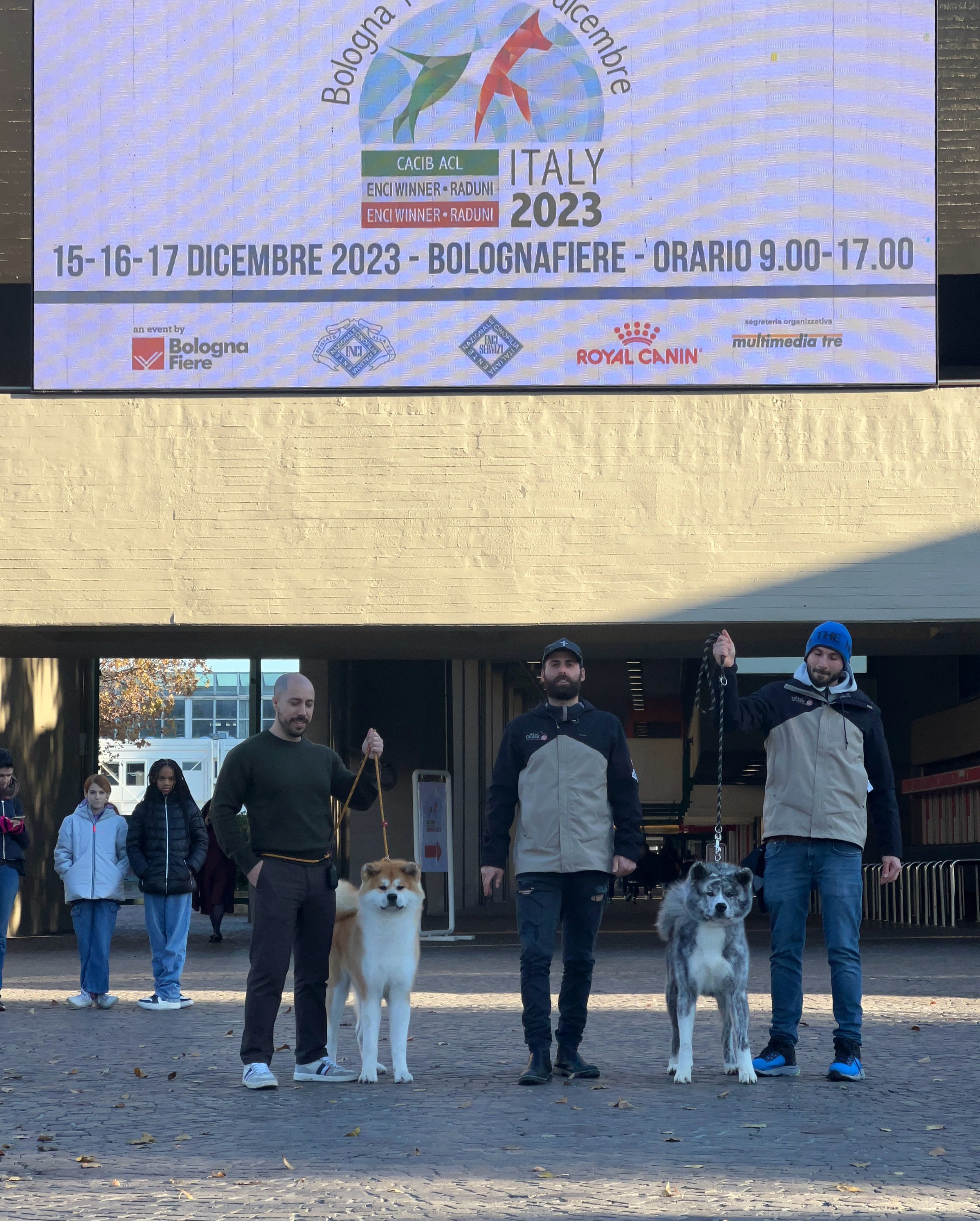 Akita in esposizione 28