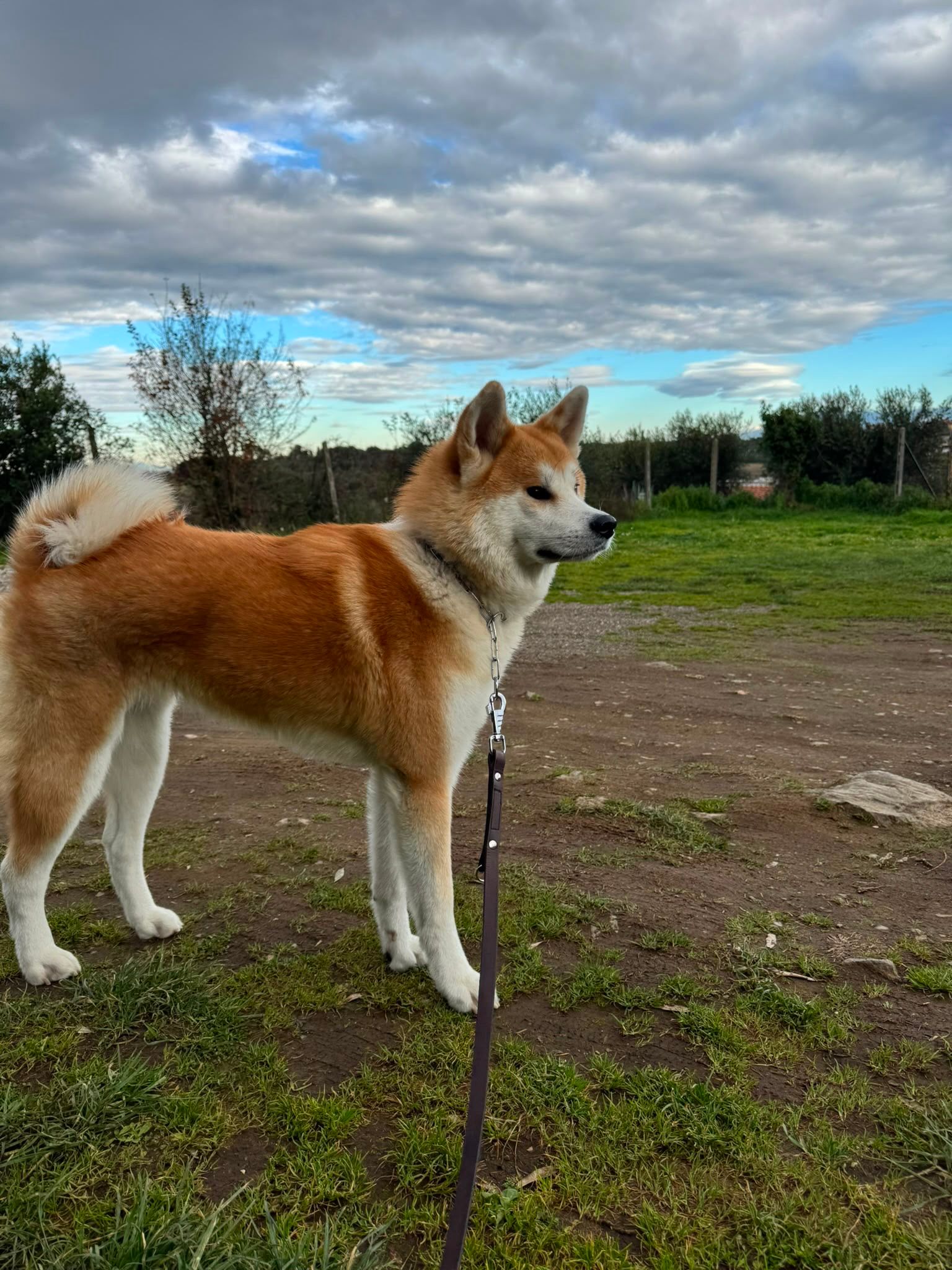 Kaori — foto 6