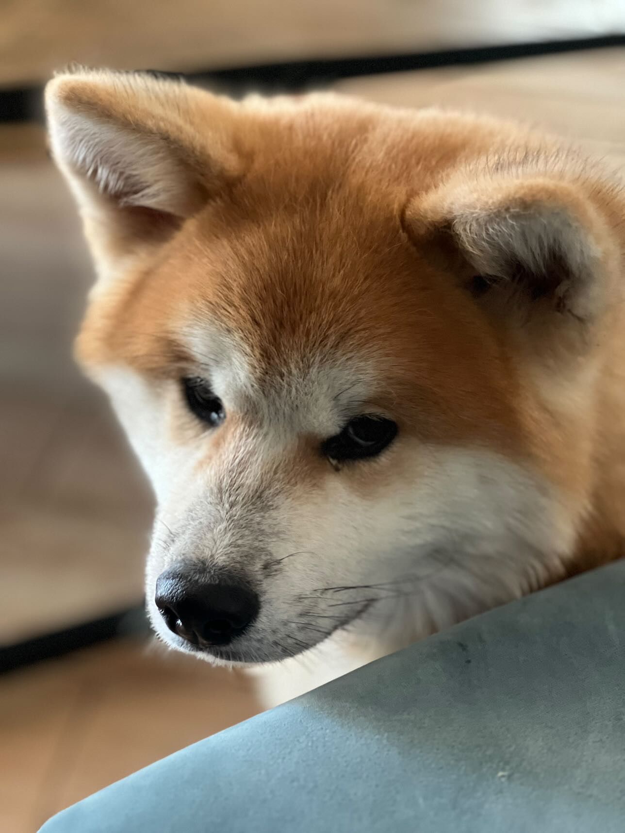 Raito Shou — foto 6