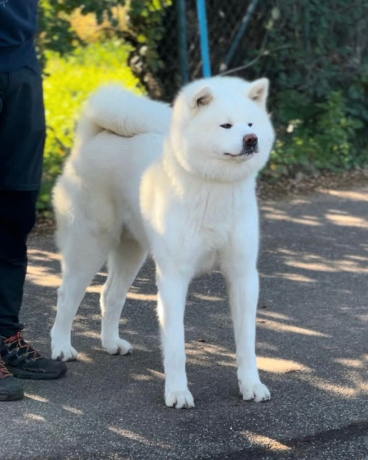 Yuuma — foto 5