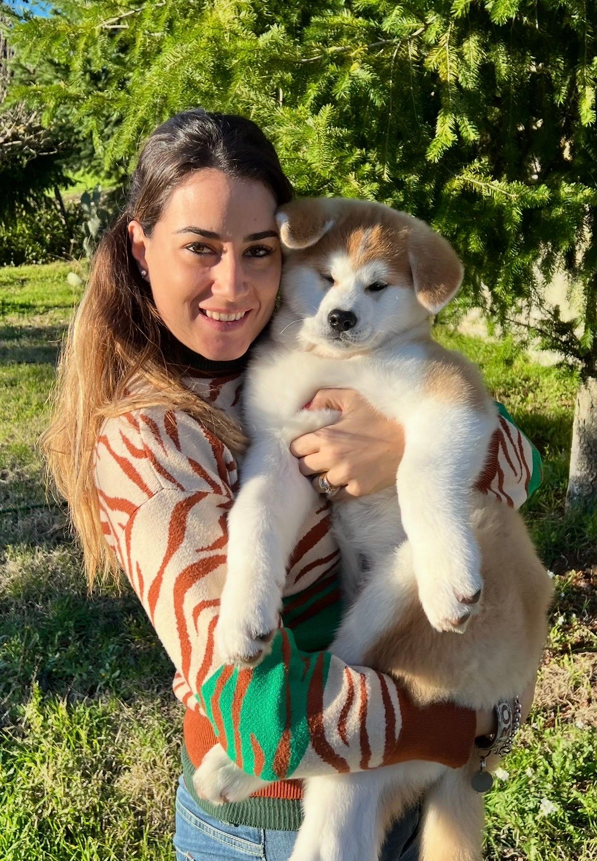 Akita nelle famiglie — foto 7