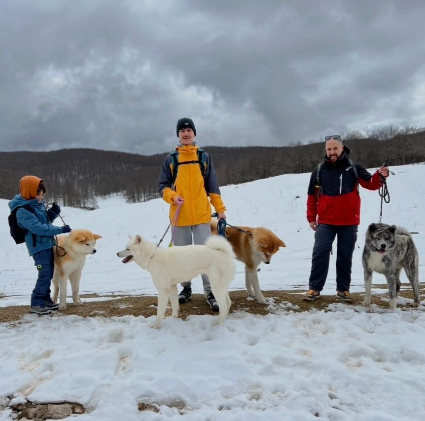 Akita nelle famiglie — foto 5