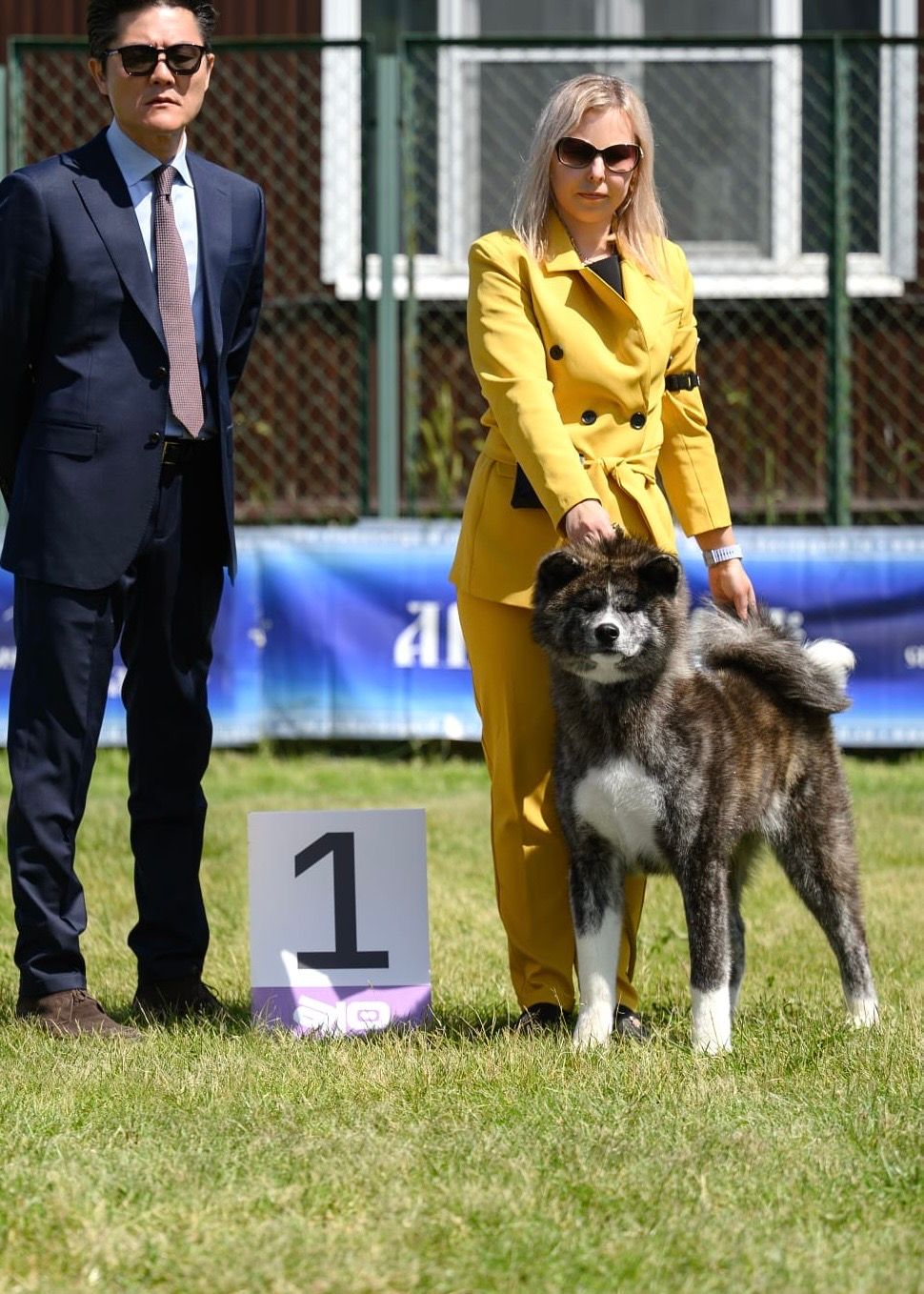 Akita in esposizione 53