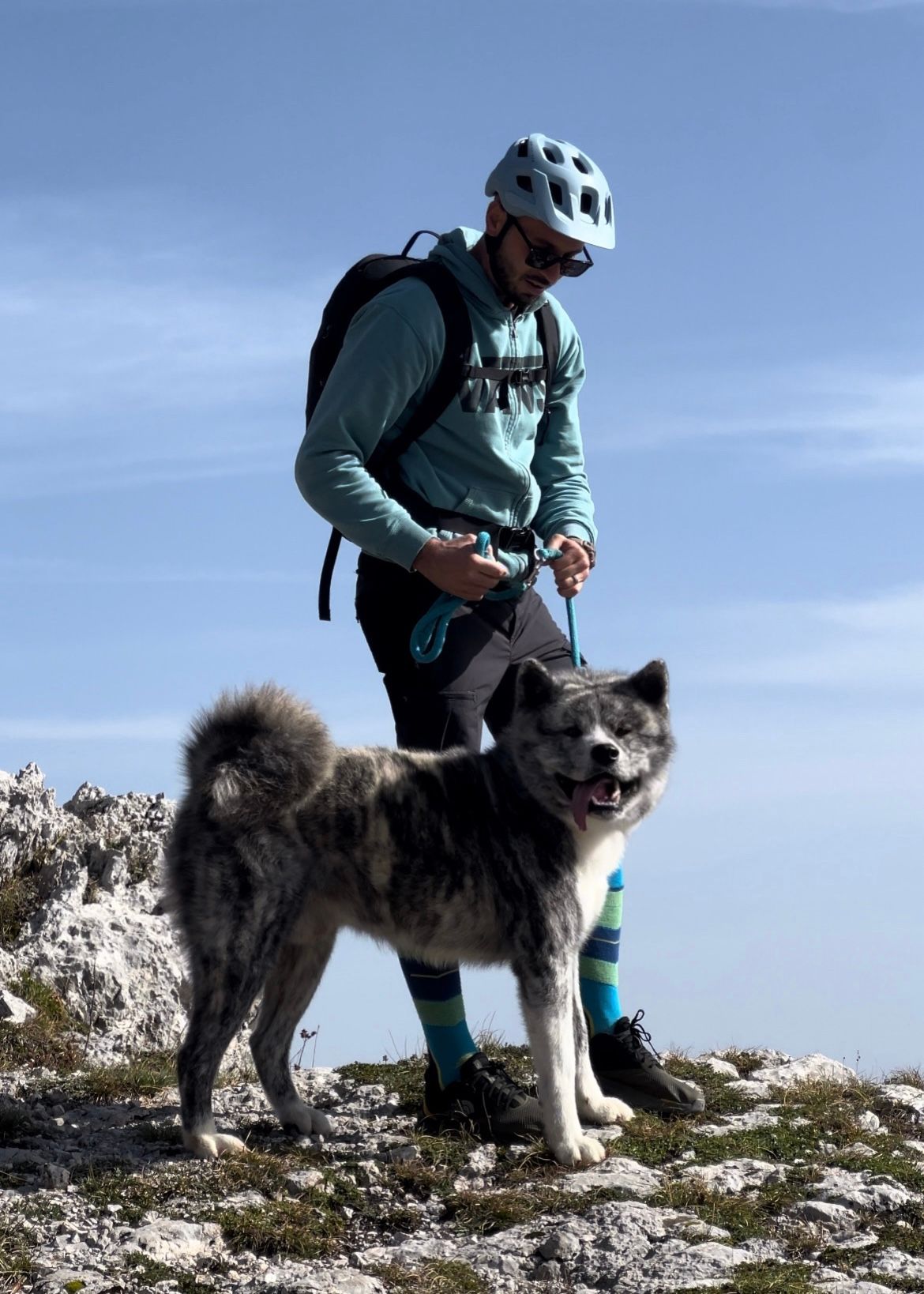 Akita in love 17