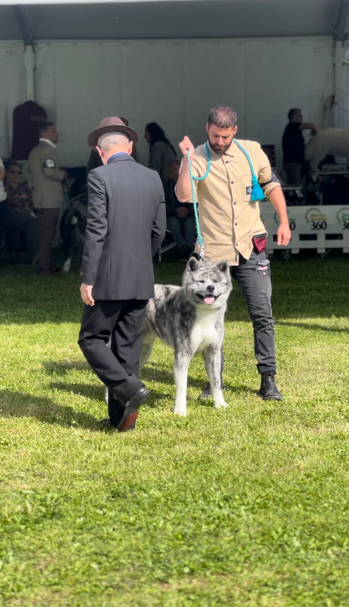 Akita in esposizione 26