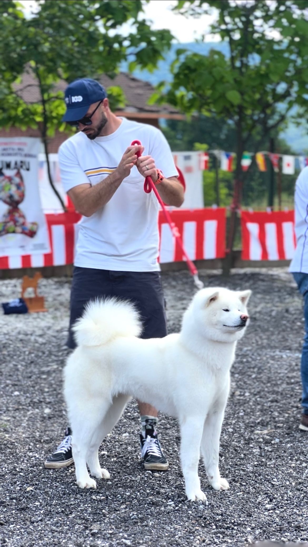 Akita in esposizione 84
