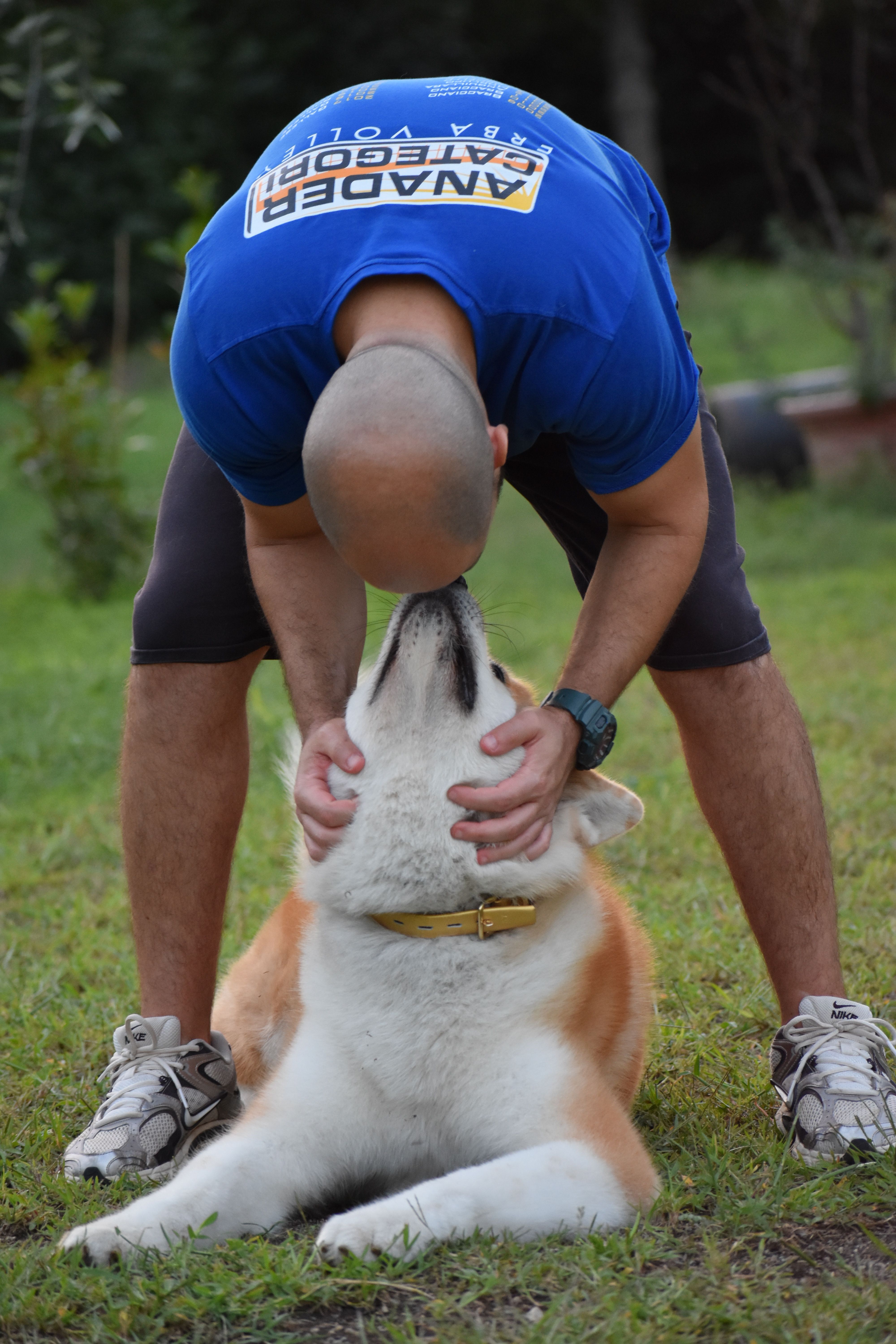Akita nelle famiglie — foto 43