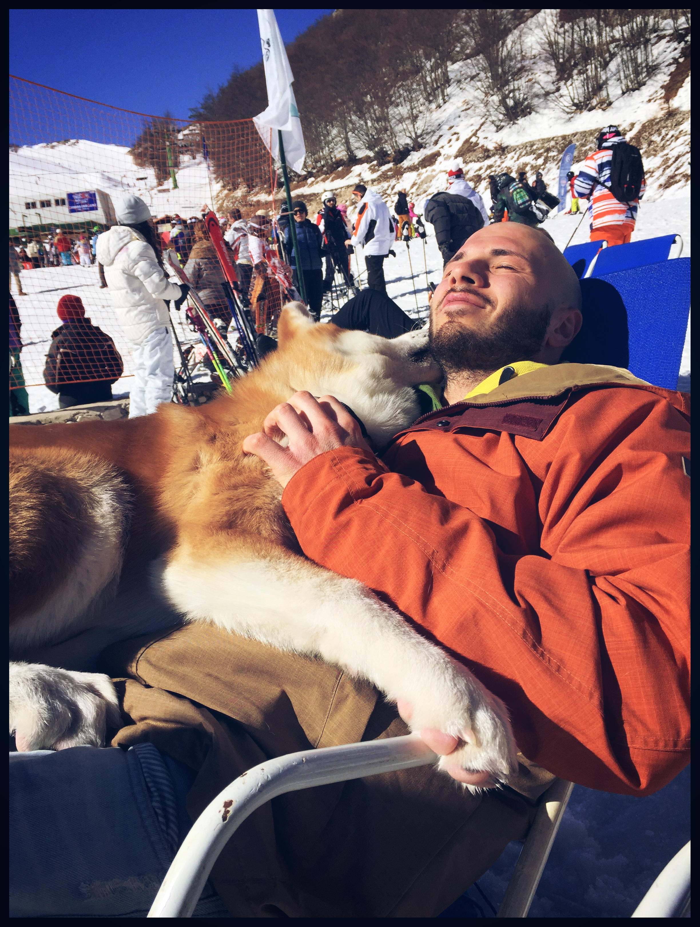 Akita in love 1