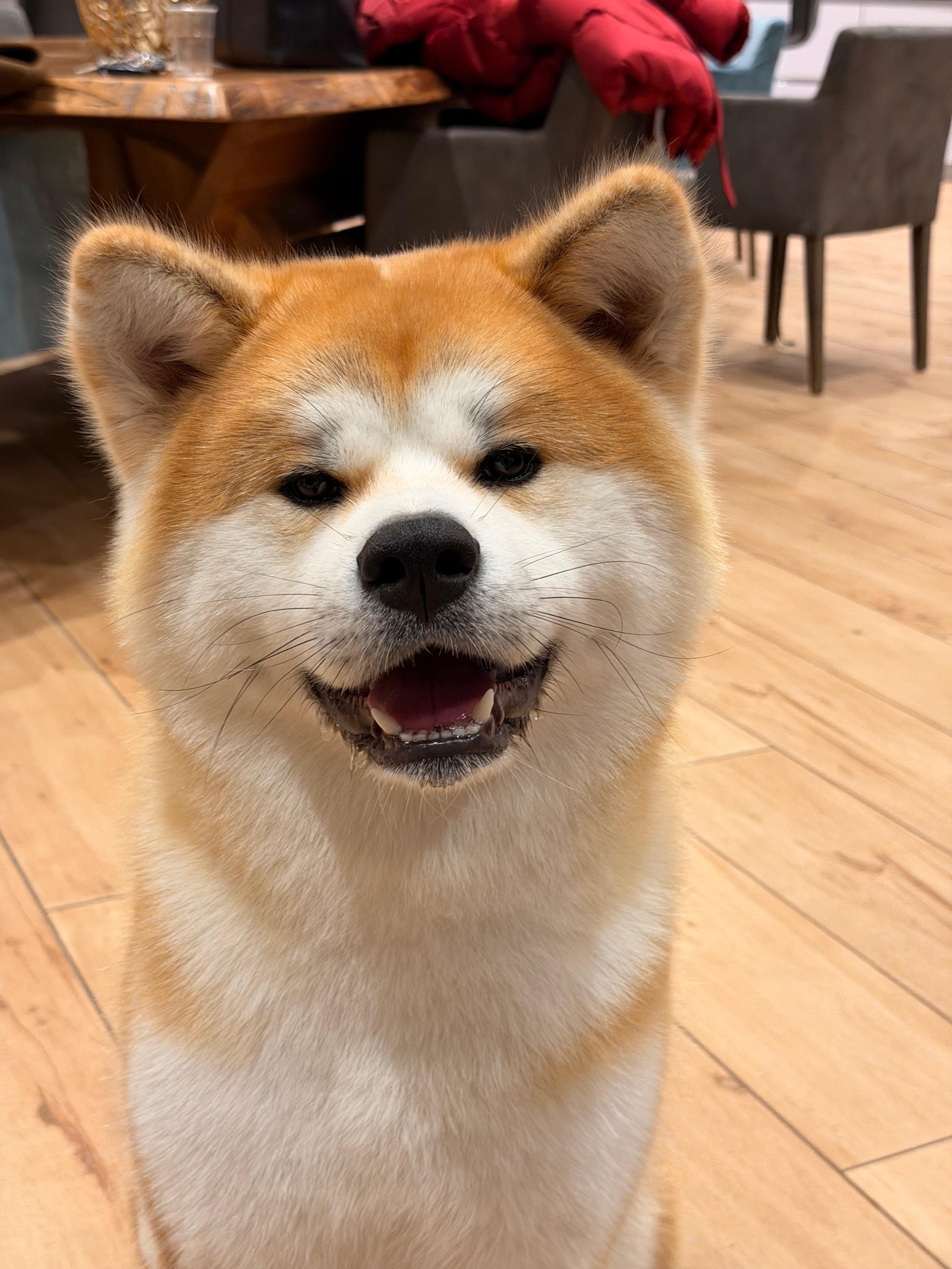 Raito Shou — foto 7