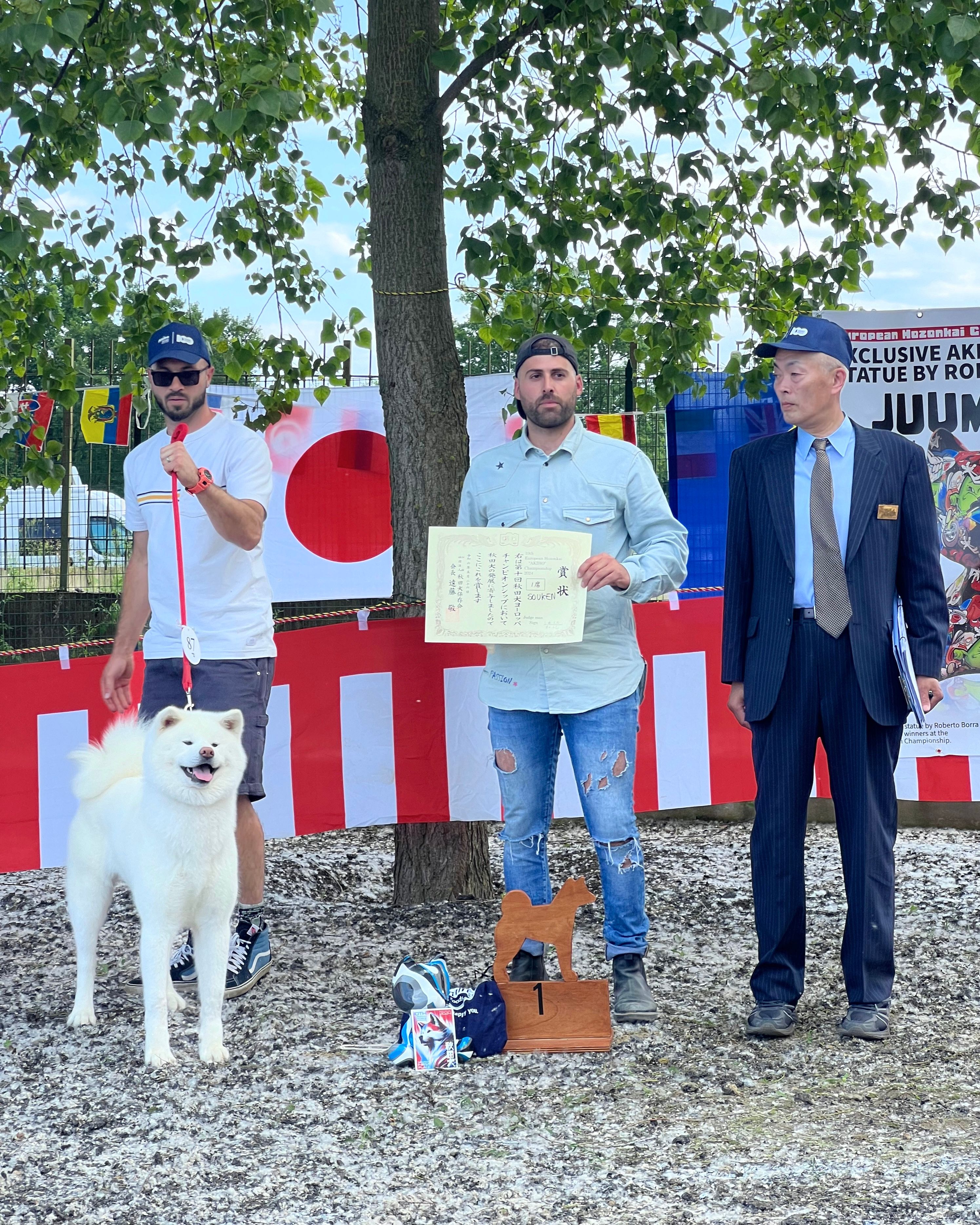 Akita in esposizione 86