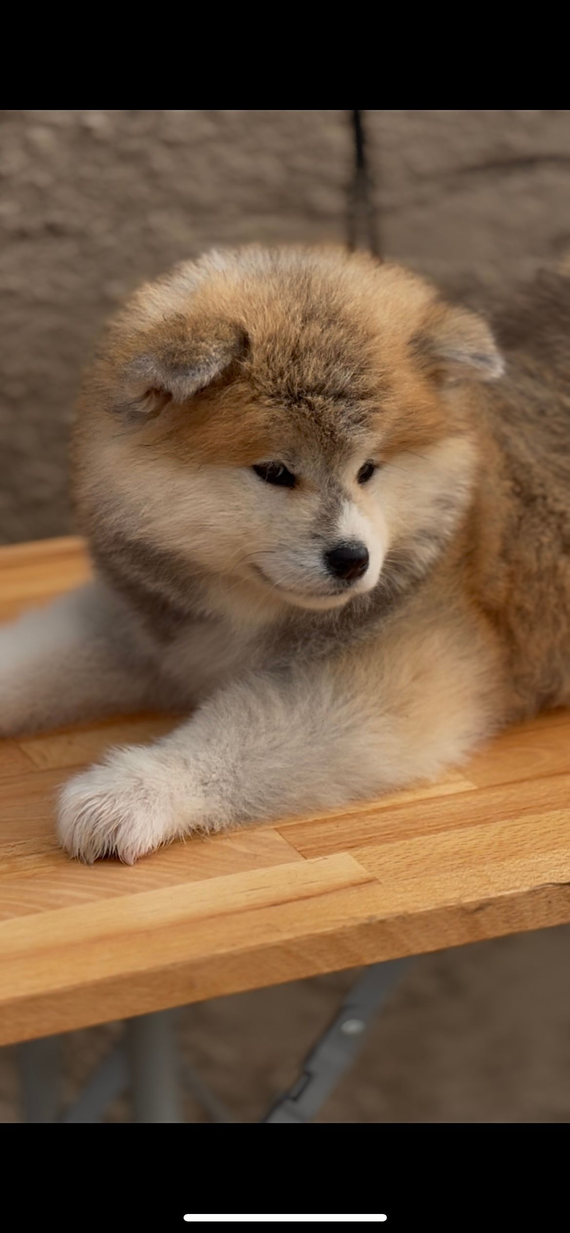 Yuki Lc — foto 1
