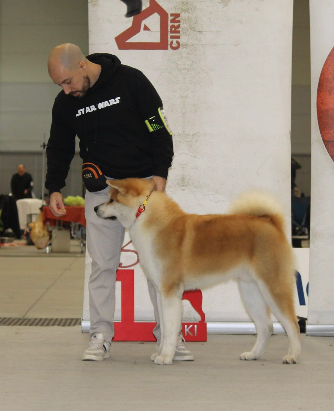 Taihei Shou  — foto 3