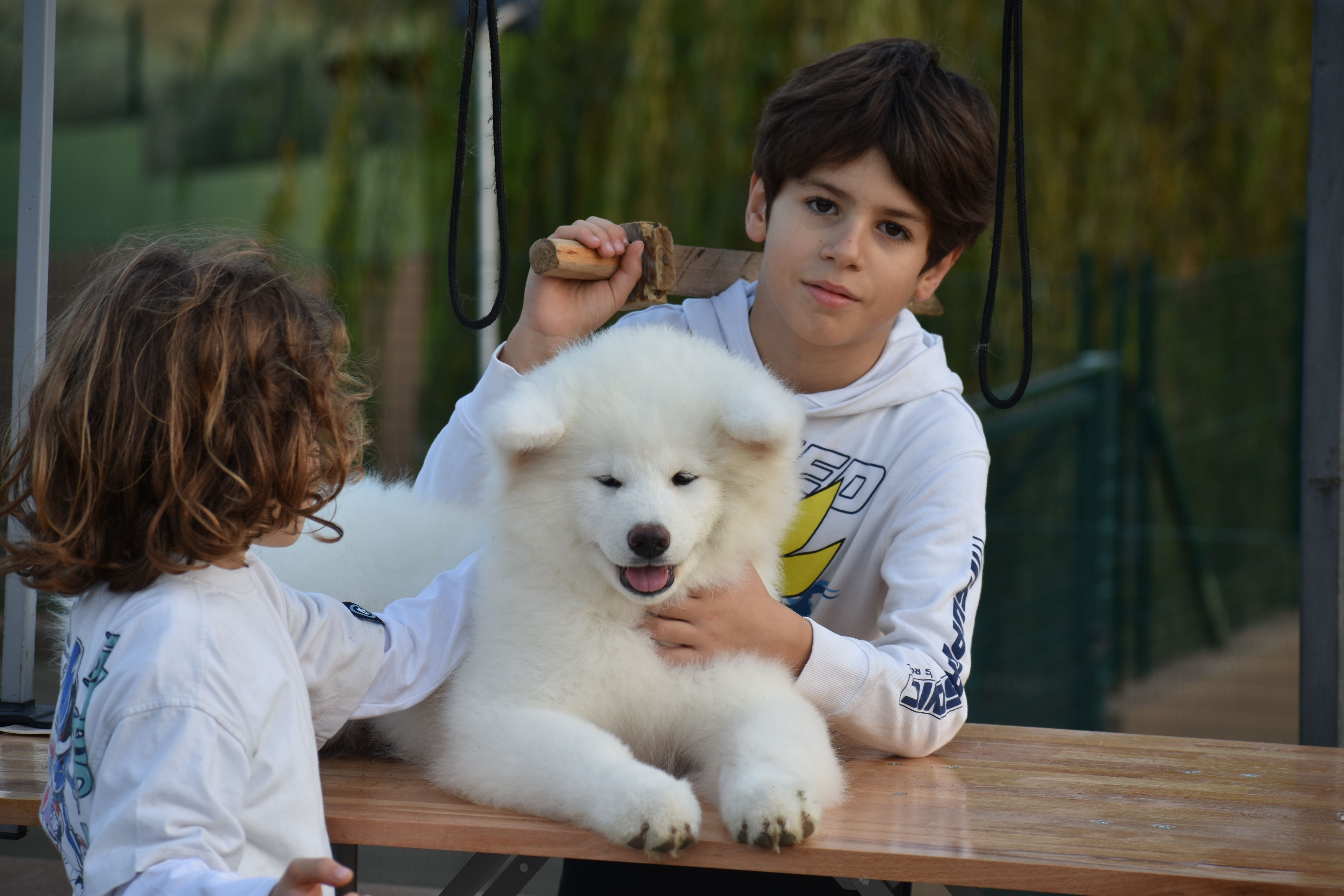 Piccoli allevatori crescono 8