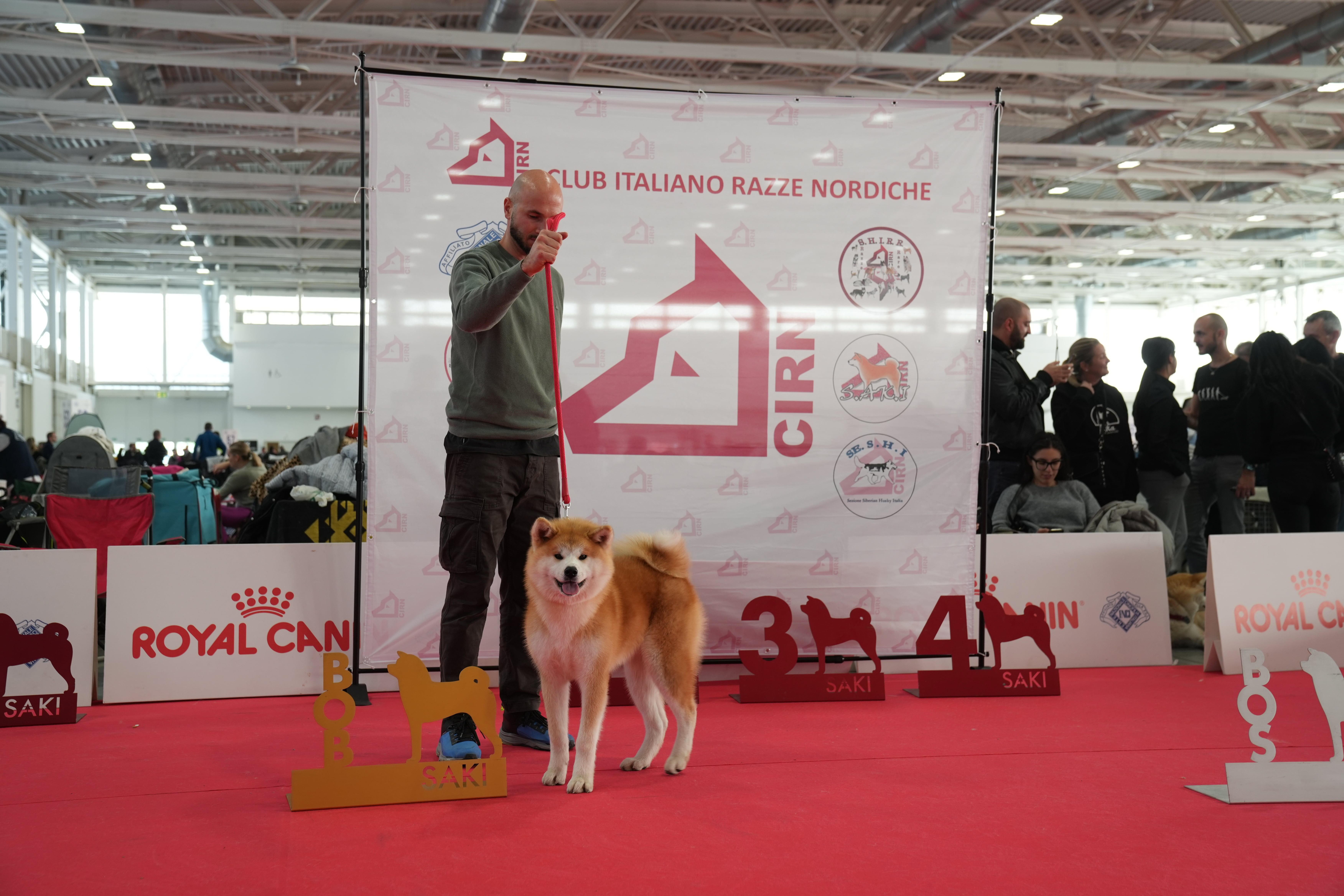 Akita in esposizione 88