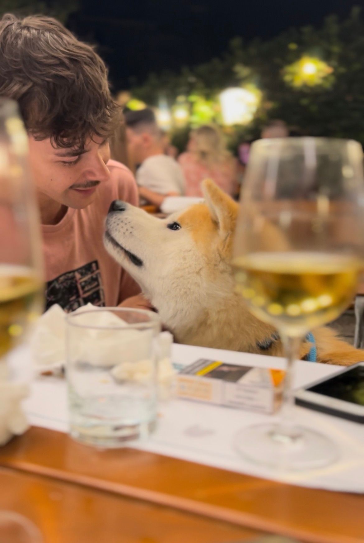 Akita in love 27
