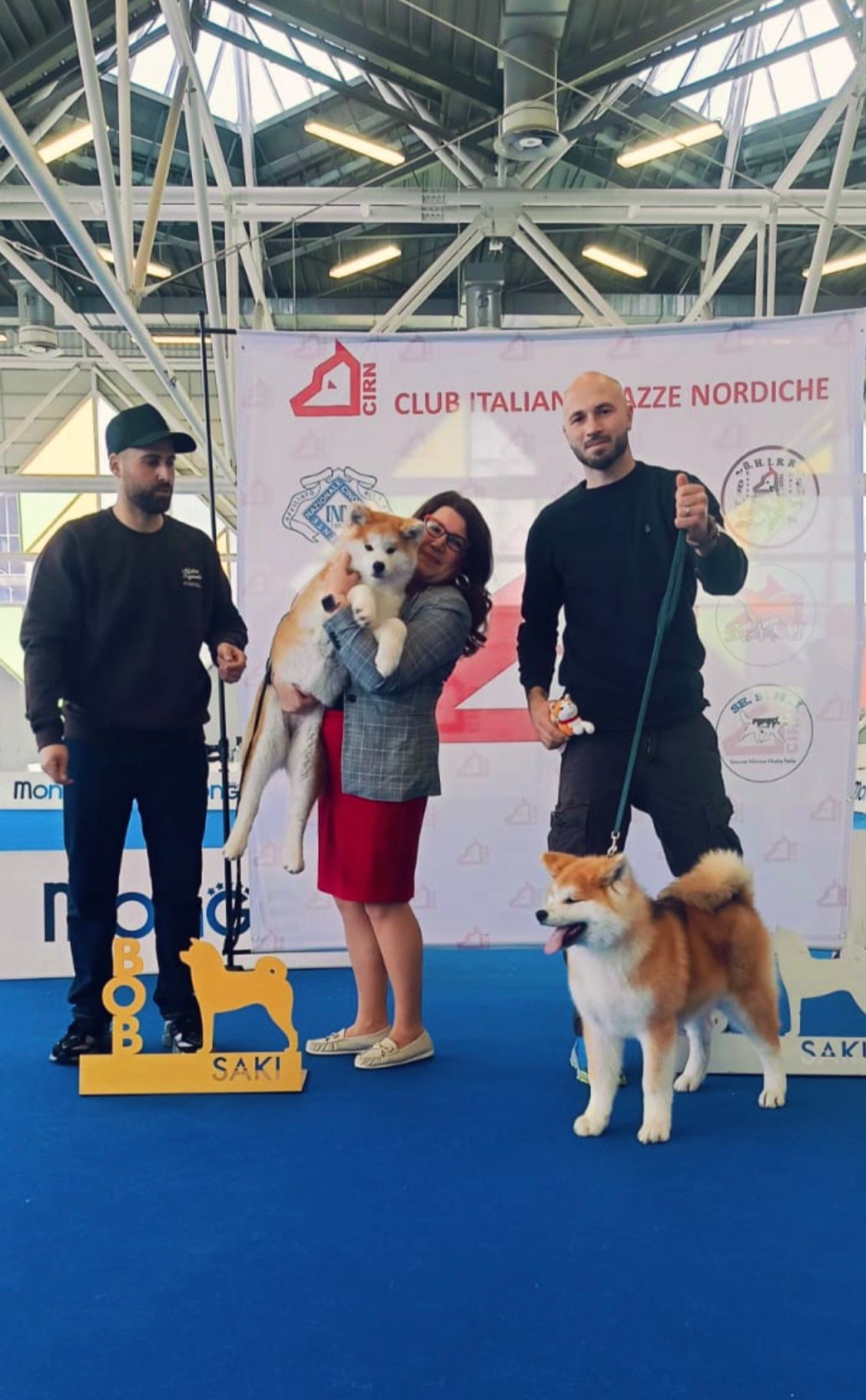 Akita in esposizione 16