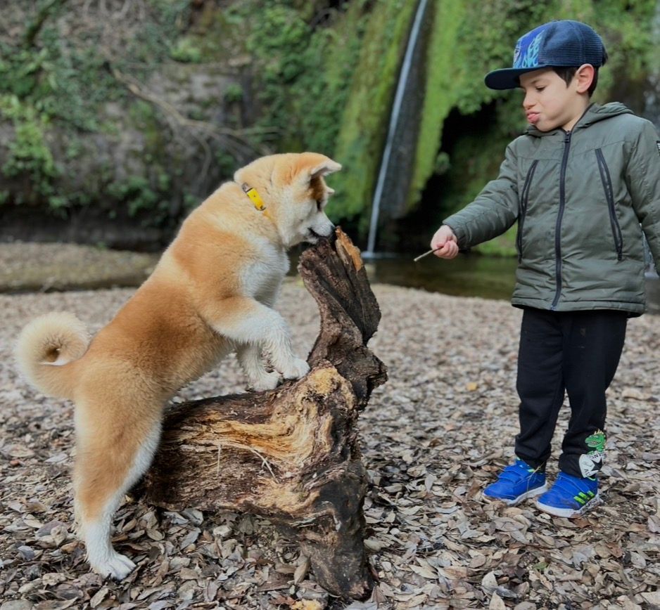 Piccoli allevatori crescono 12