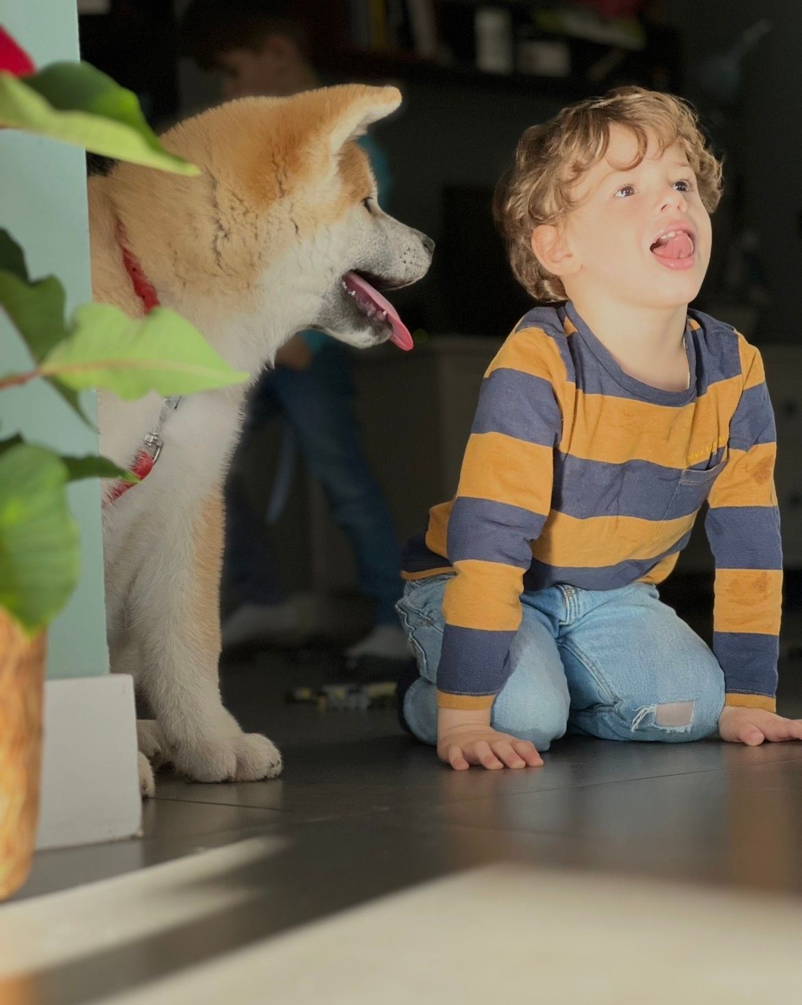 Piccoli allevatori crescono 11
