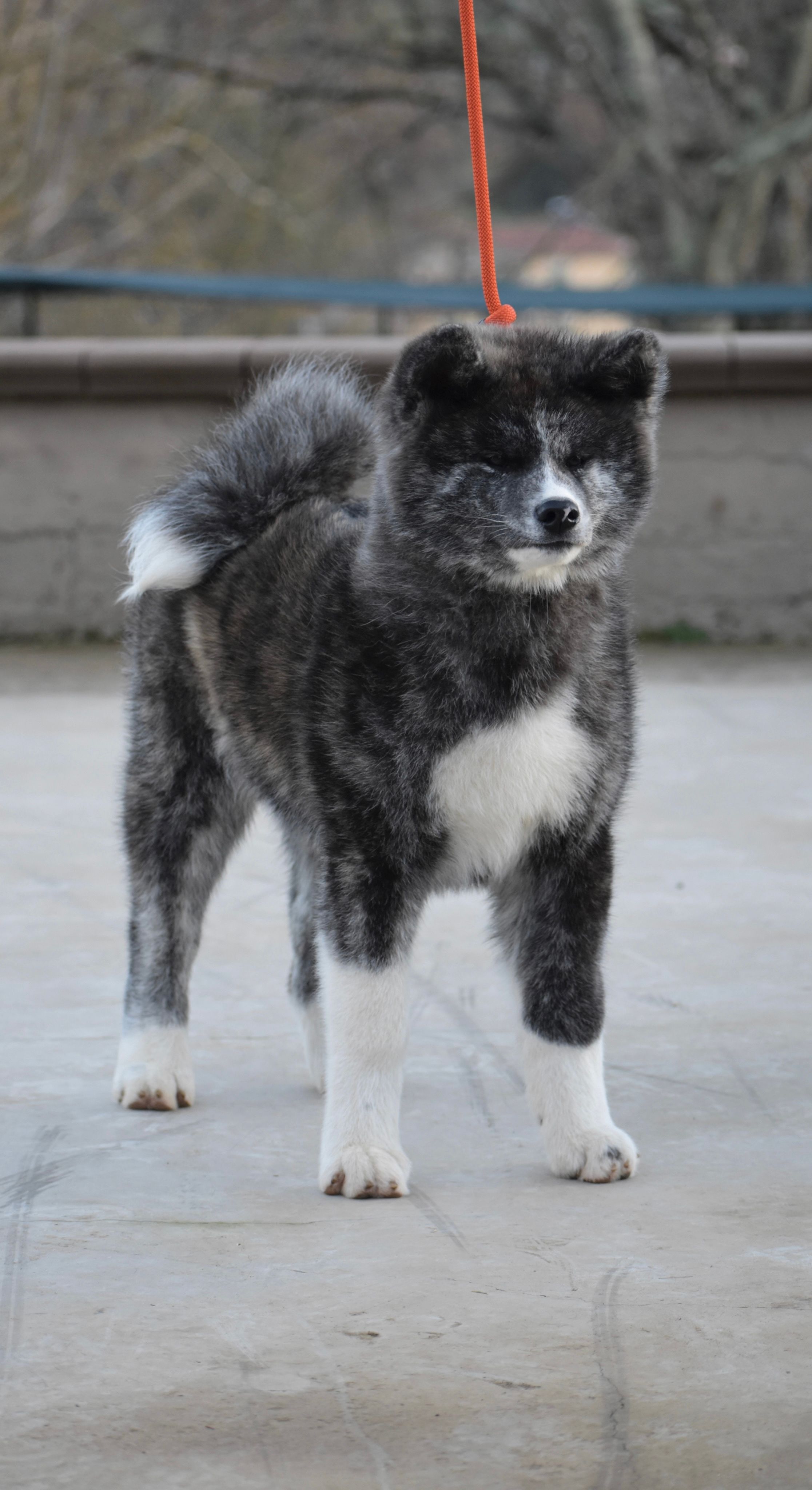 Yumei — foto 1