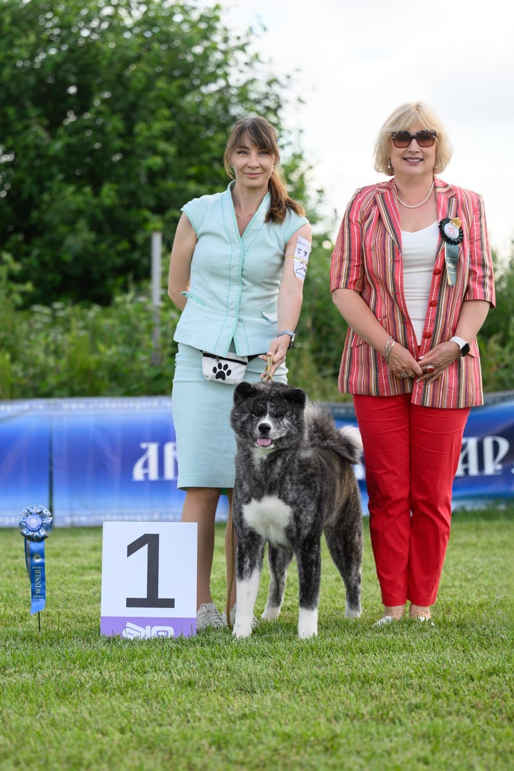 Akita in esposizione 101