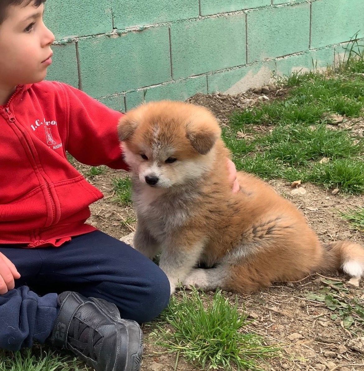 Piccoli allevatori crescono 24