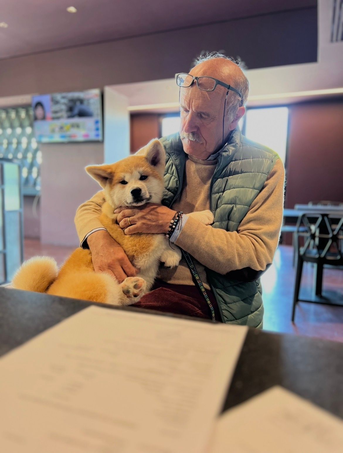 Akita nelle famiglie — foto 4