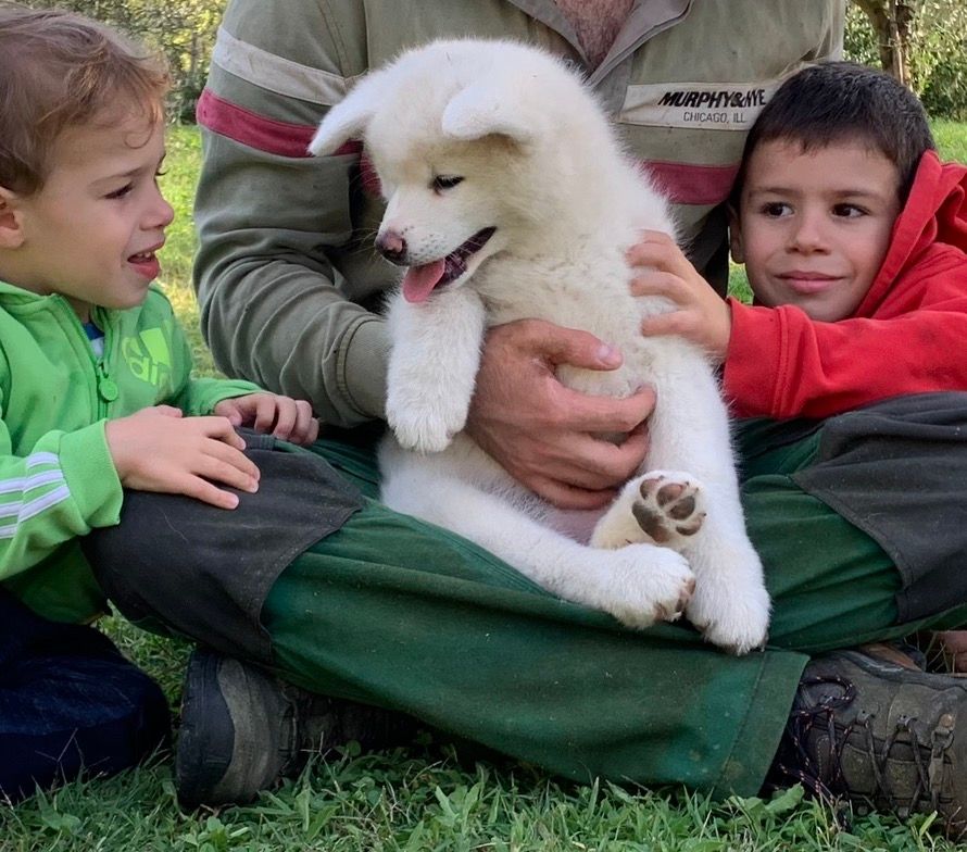 Piccoli allevatori crescono 18