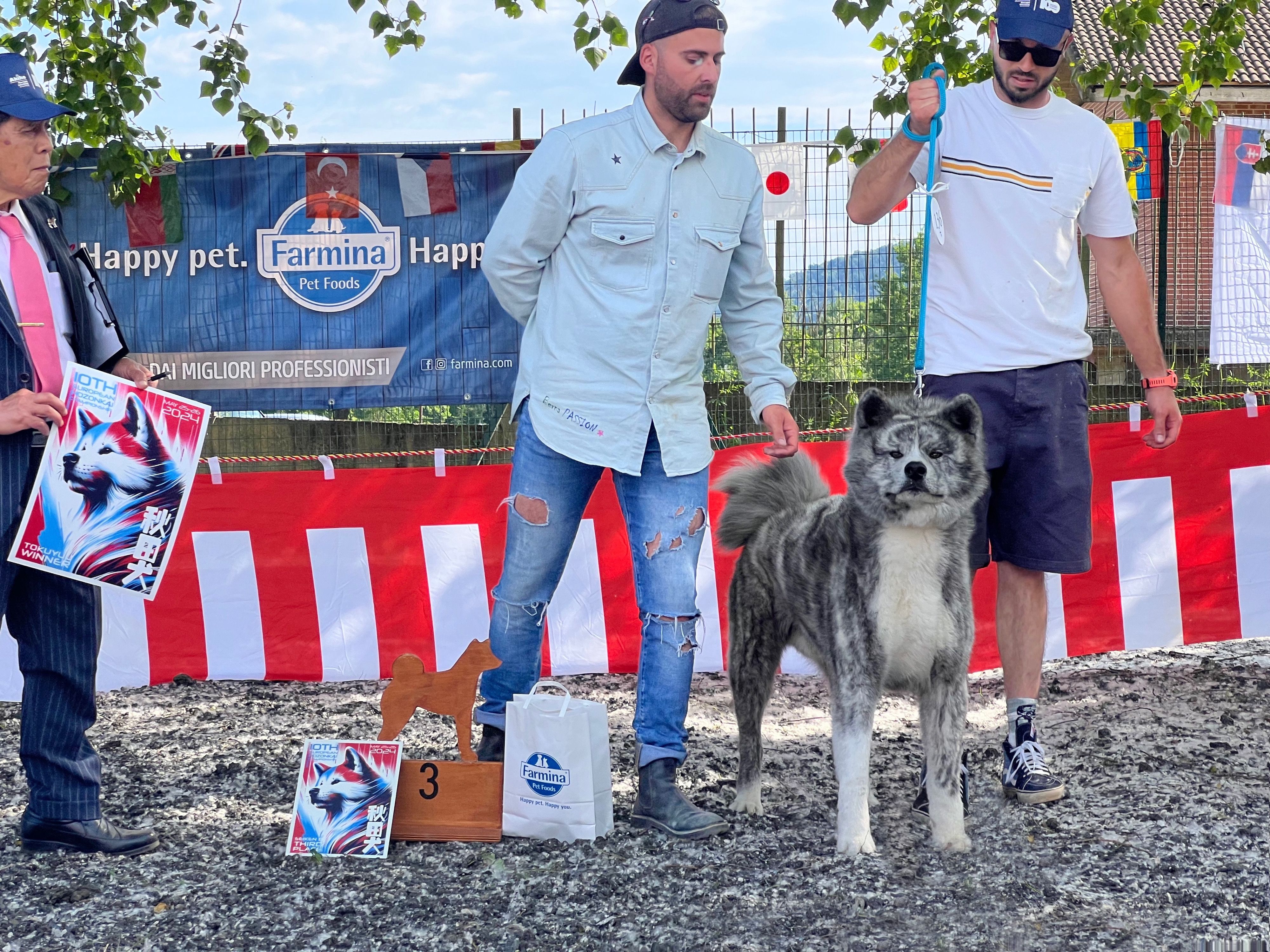 Akita in esposizione 87