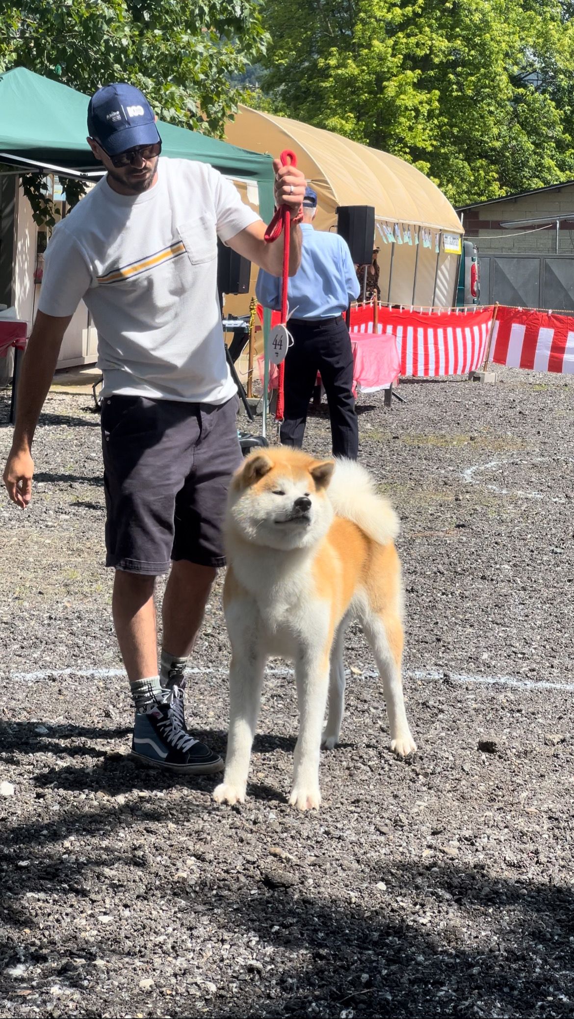 Akita in esposizione 21