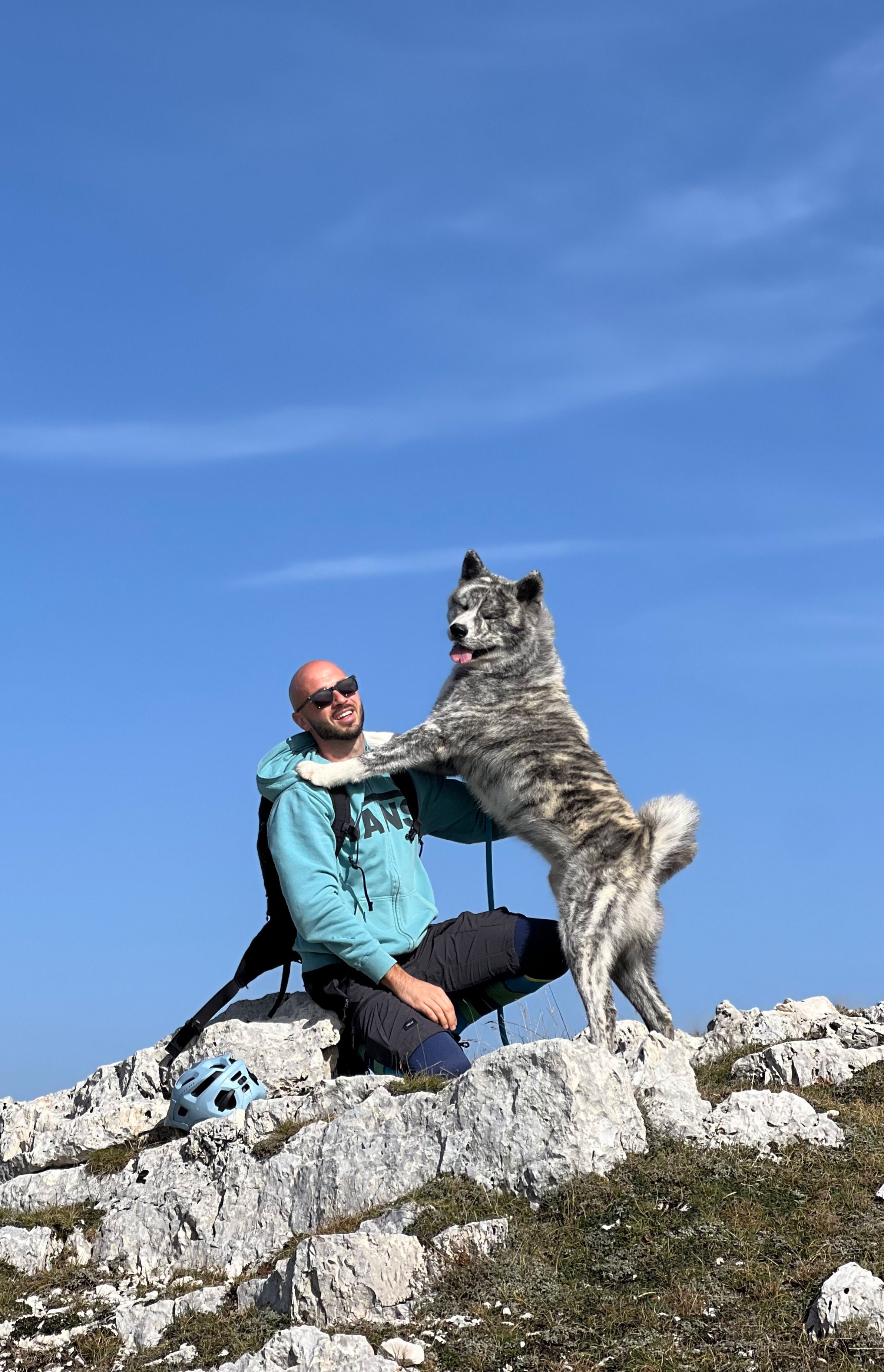 Akita in love 16
