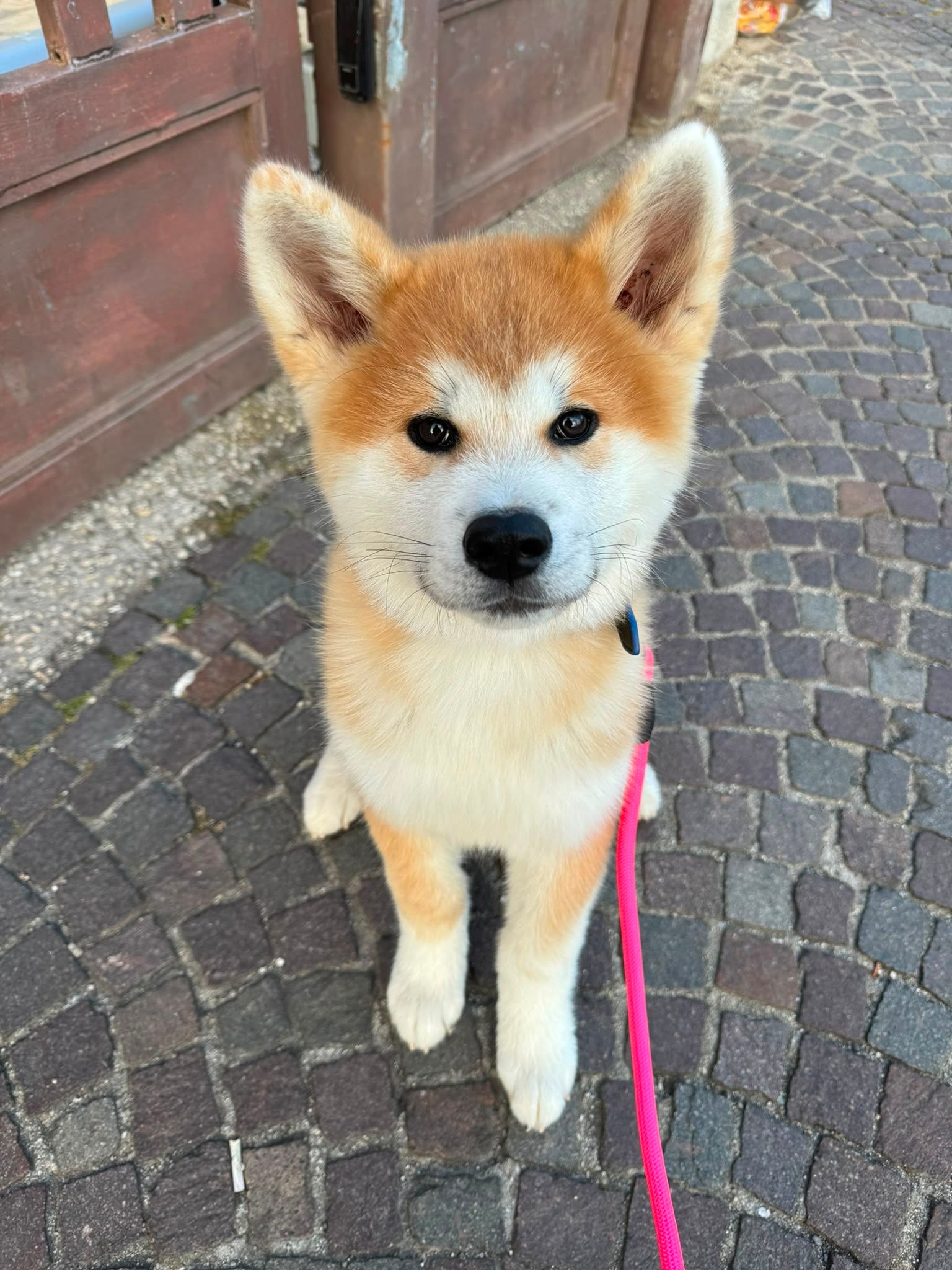 Kaori — foto 4
