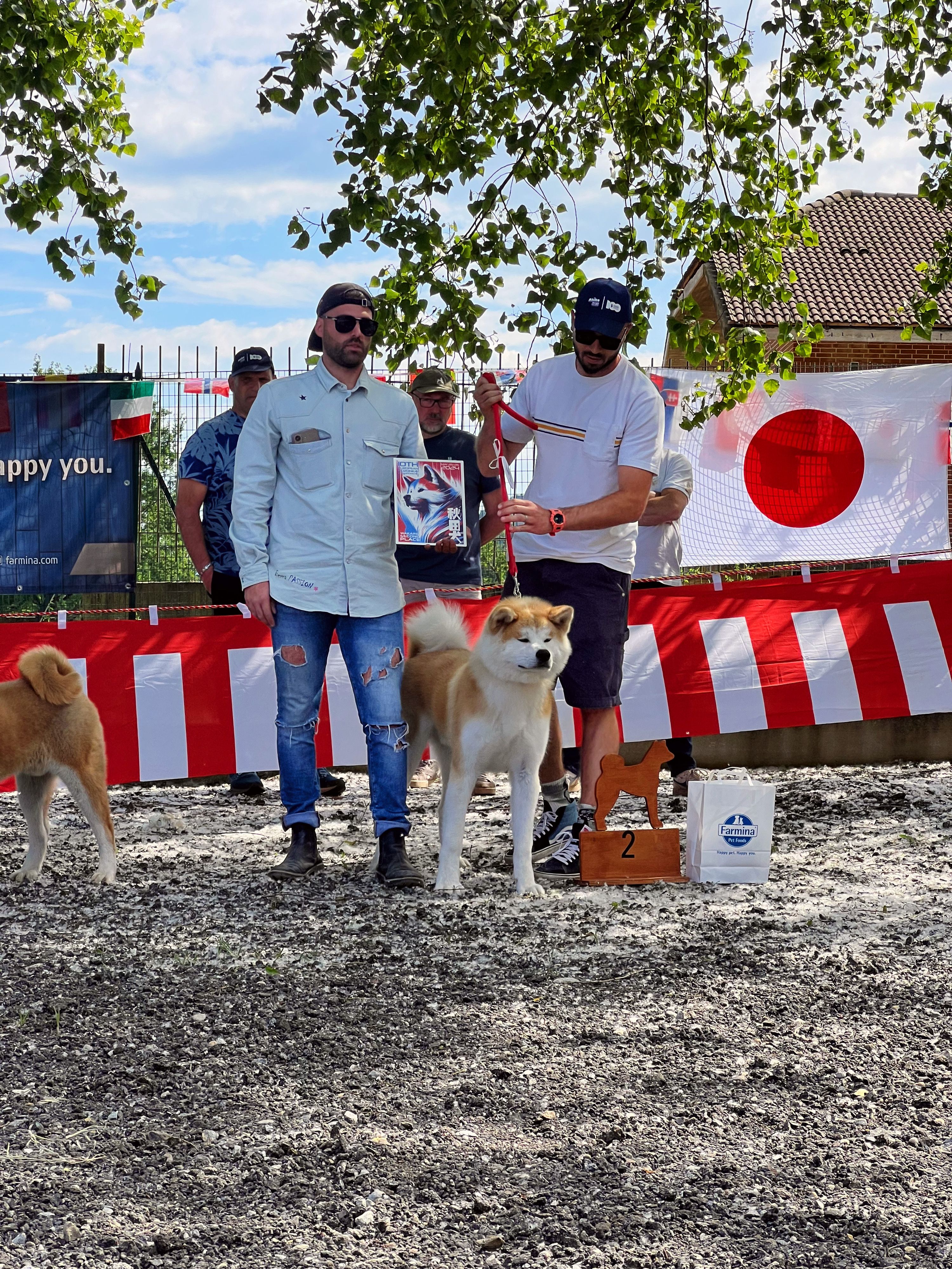 Akita in esposizione 20