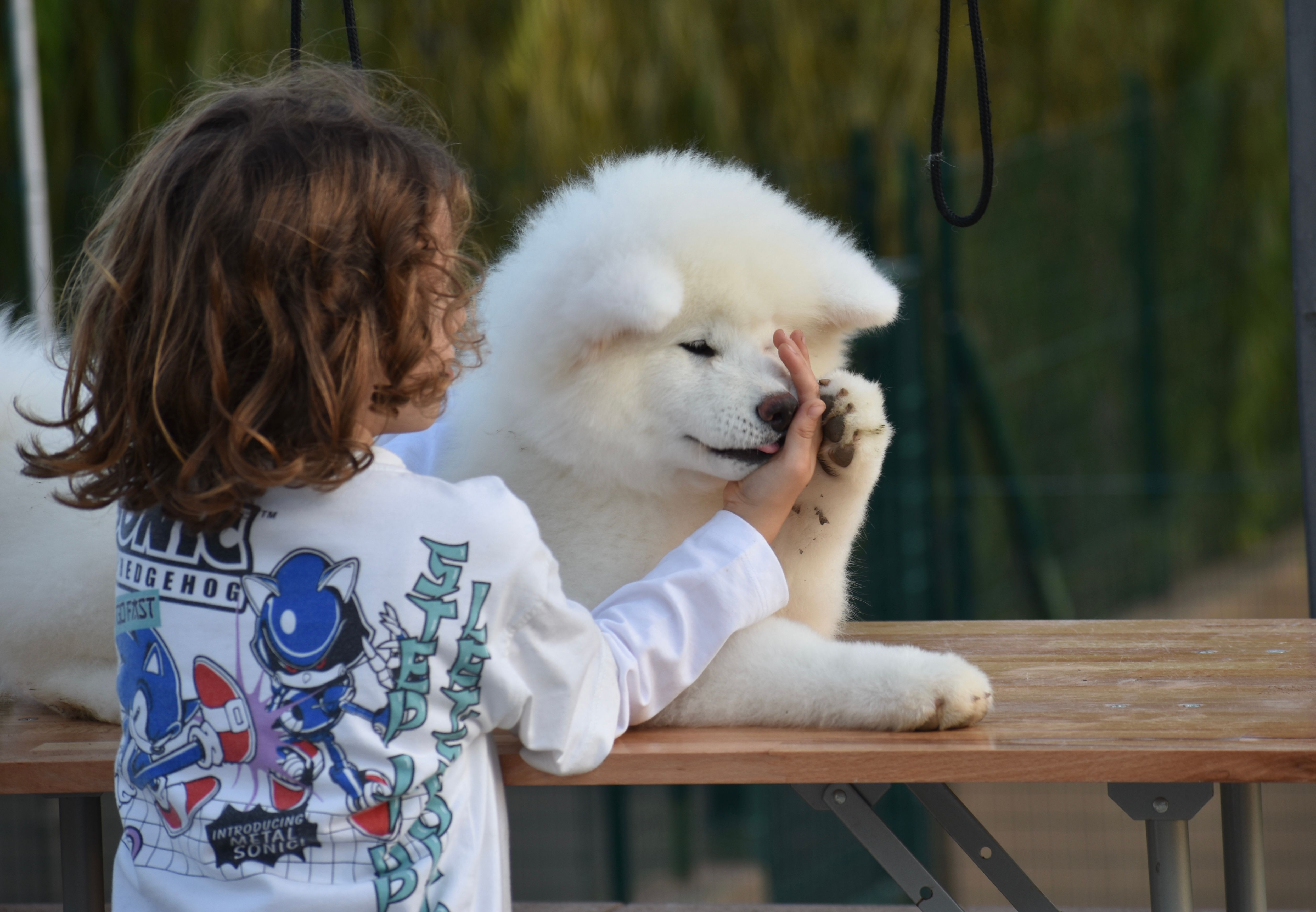 Piccoli allevatori crescono 7