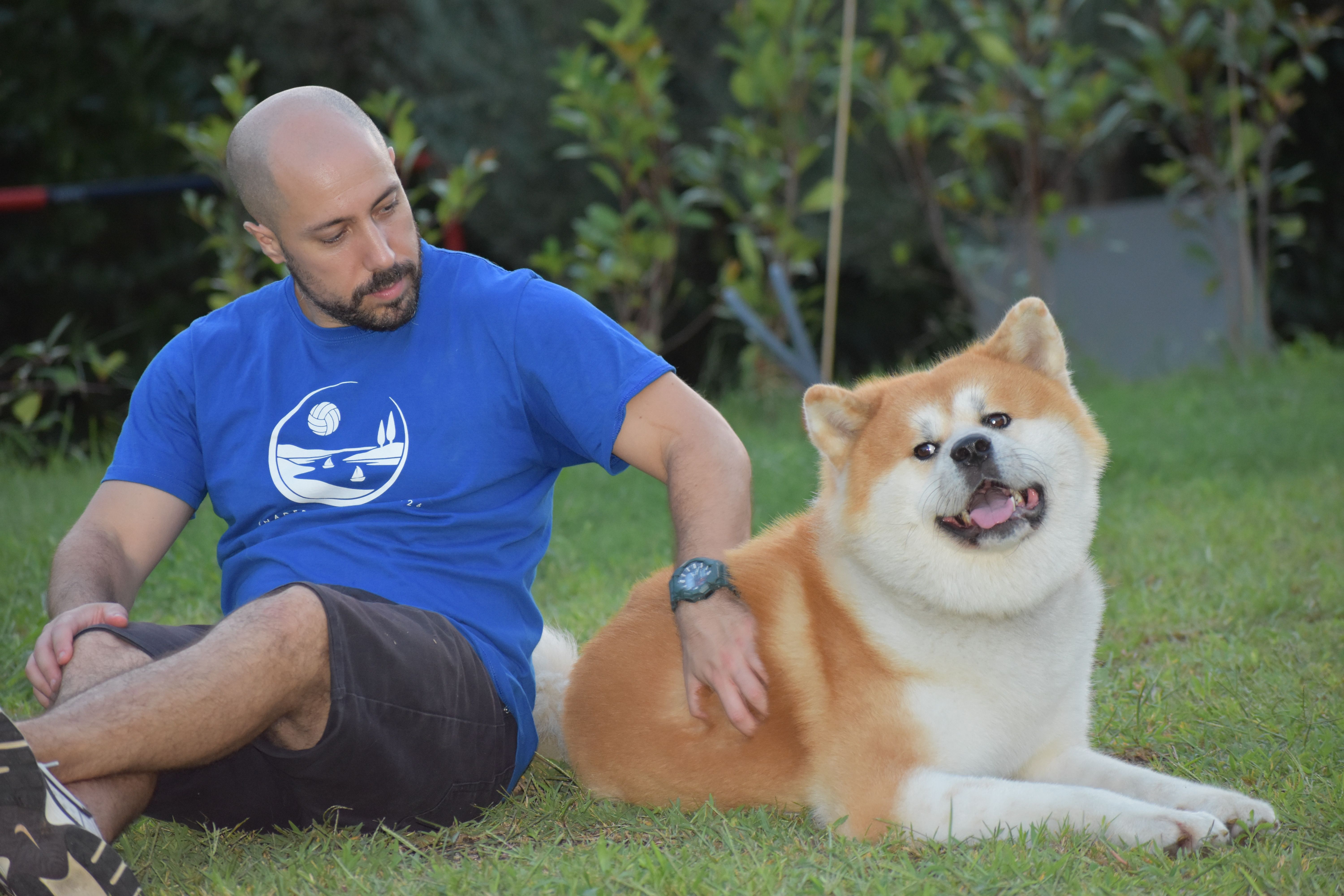 Akita nelle famiglie — foto 44