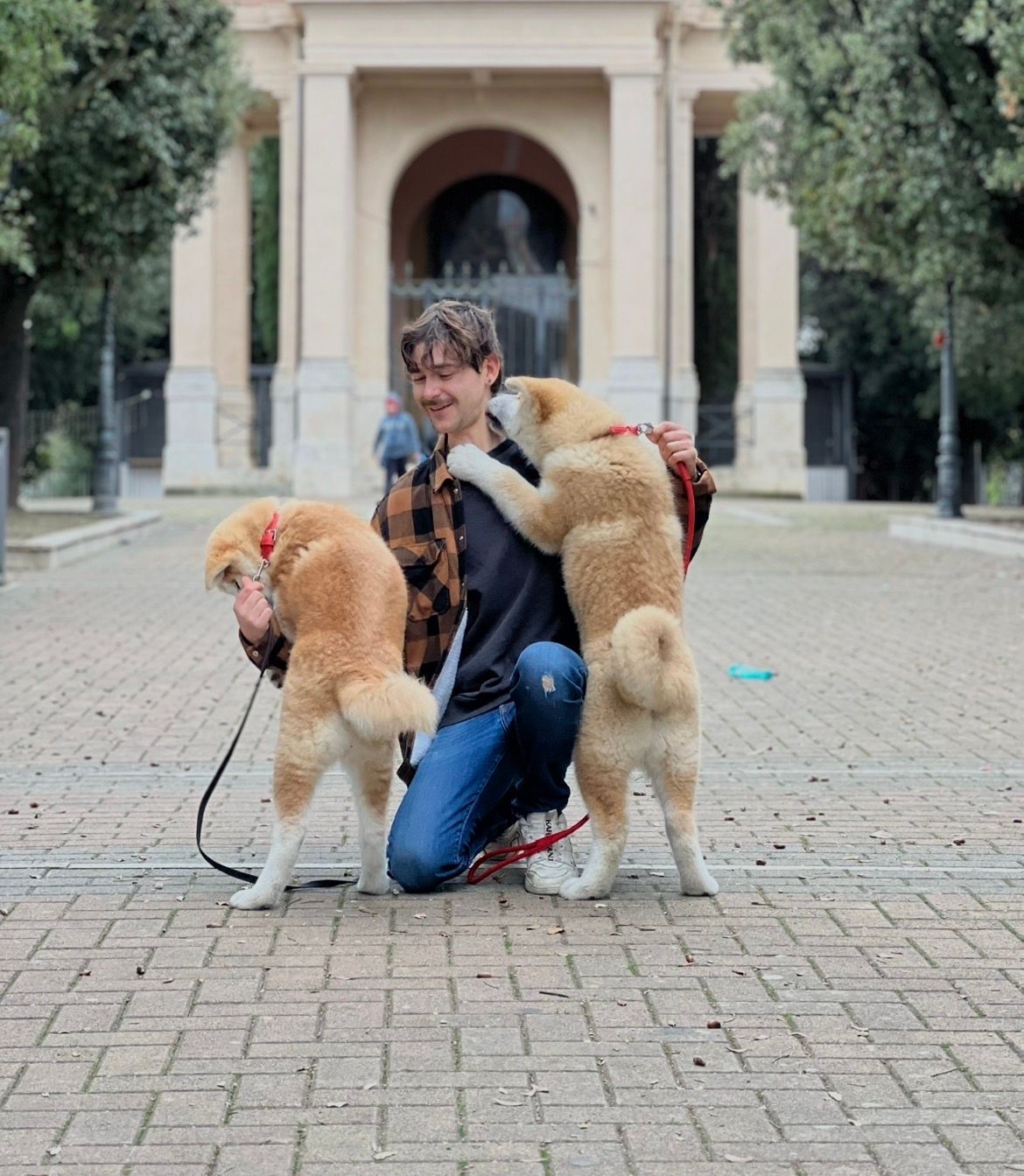 Akita nelle famiglie — foto 6
