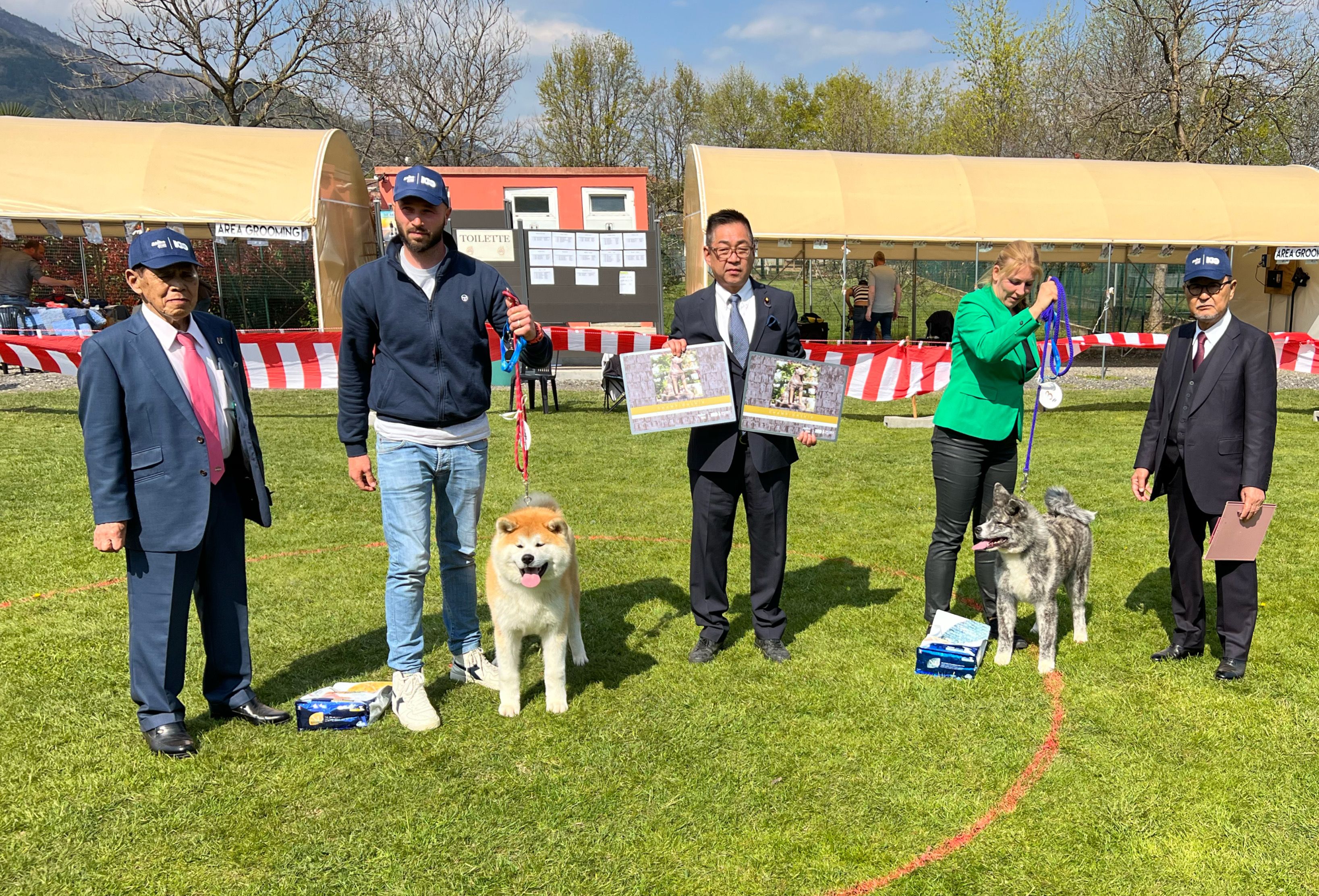Akita in esposizione 30