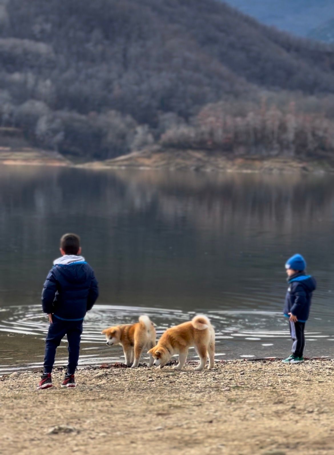 Piccoli allevatori crescono 28