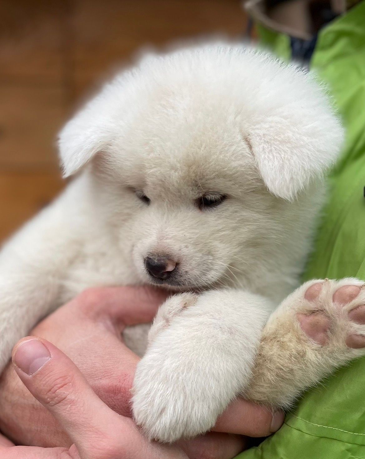 Yuki — foto 4