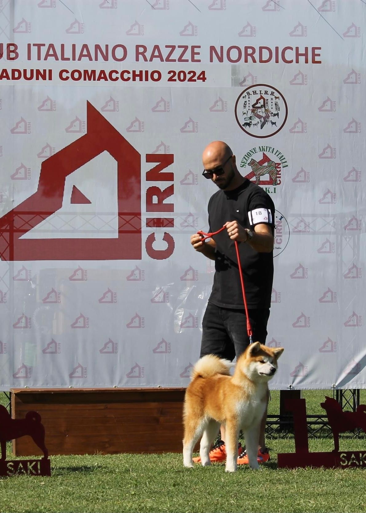 Akita in esposizione 83