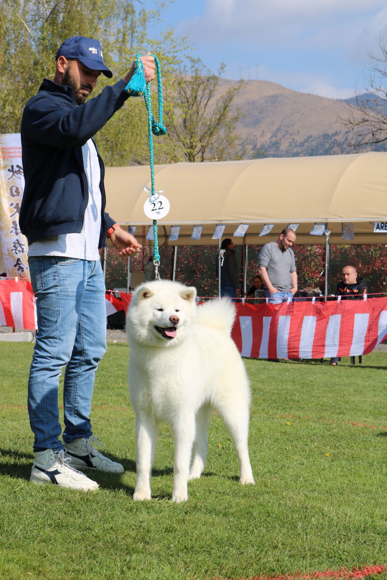 Akita in esposizione 29