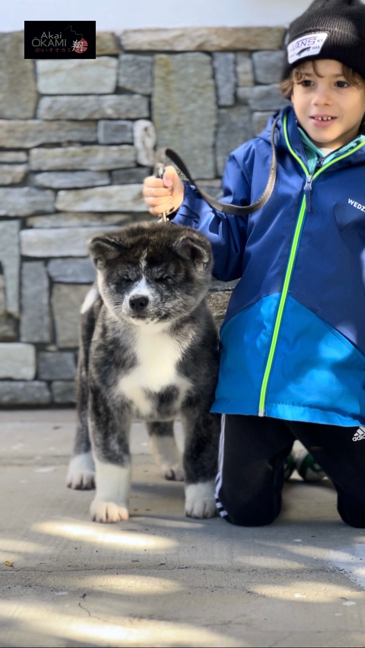 Piccoli allevatori crescono 3