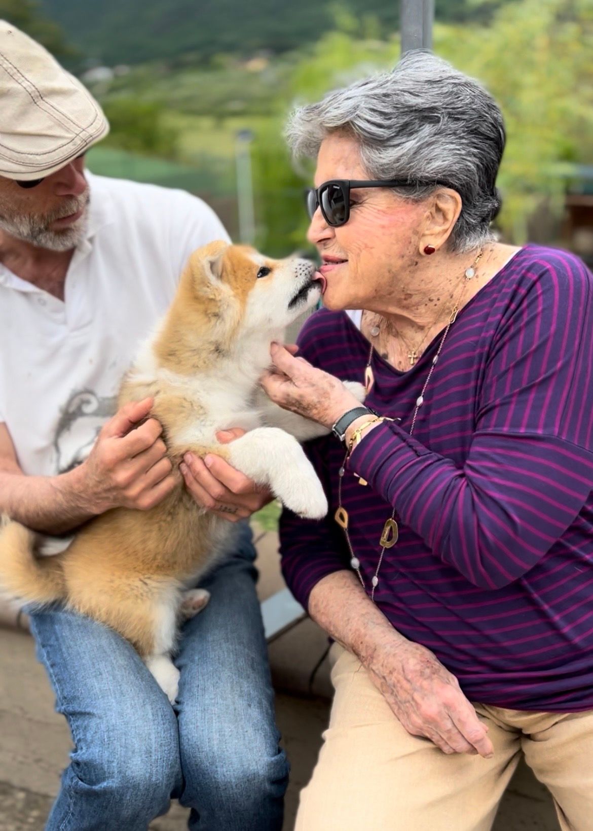 Akita nelle famiglie — foto 29