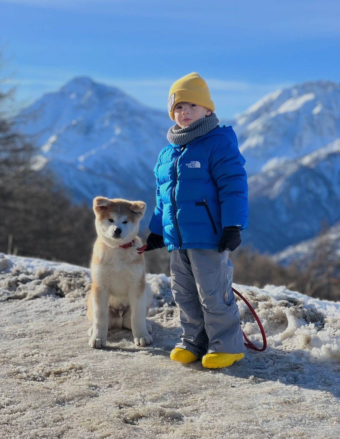 Piccoli allevatori crescono 27